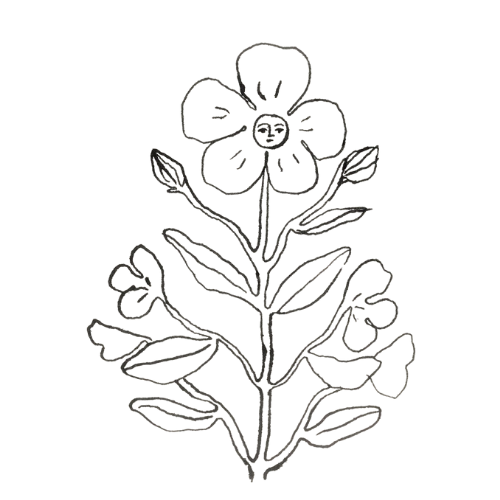 Line drawing of a flower with multiple small flowers and leaves along a central stem.