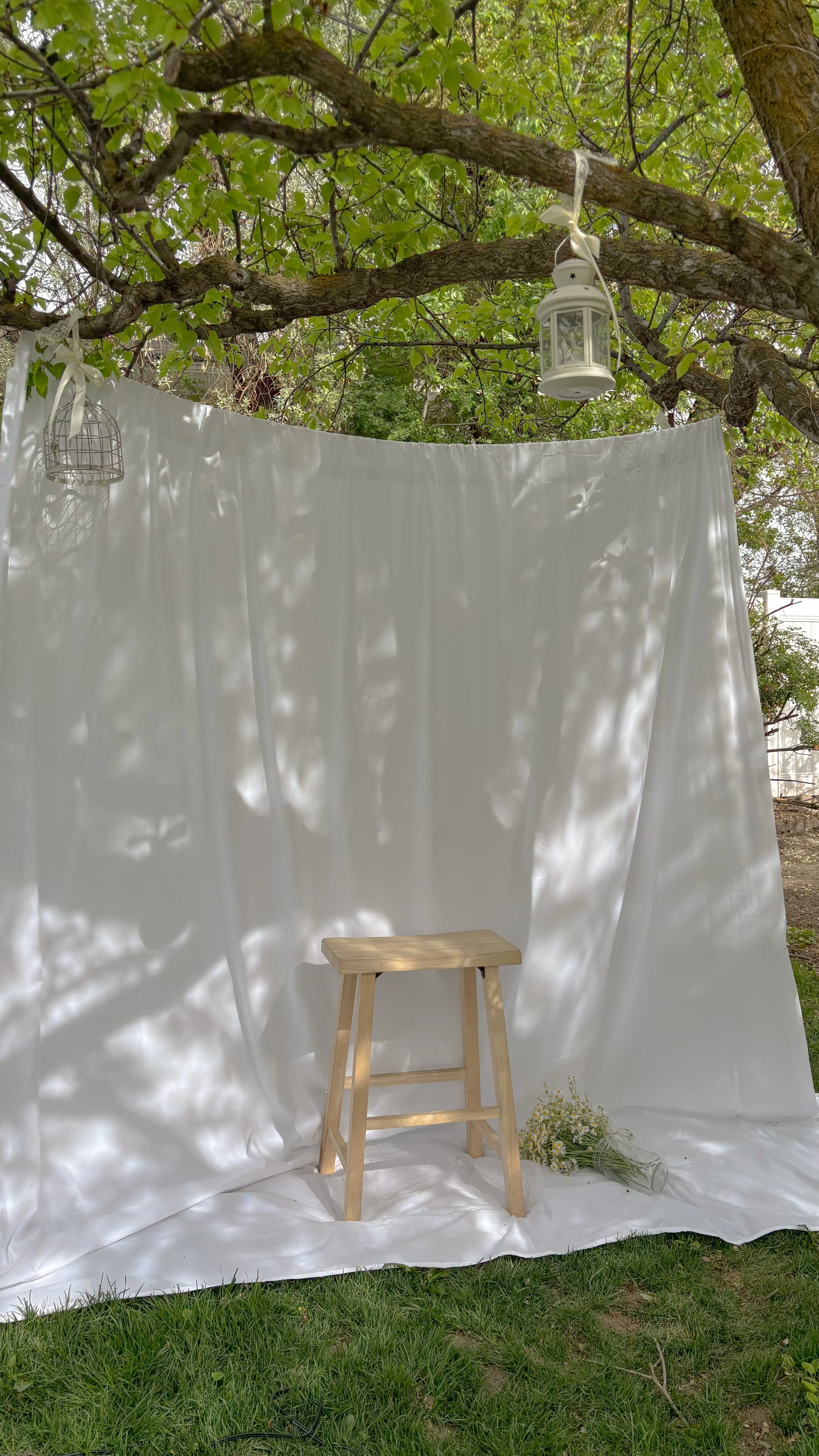Greenhouse photo studio and garden backyard event space for photography, workshops, markets, pop-ups, classes, and intimate events like weddings, showers, luncheons, proposals, and date nights in Lehi, Utah