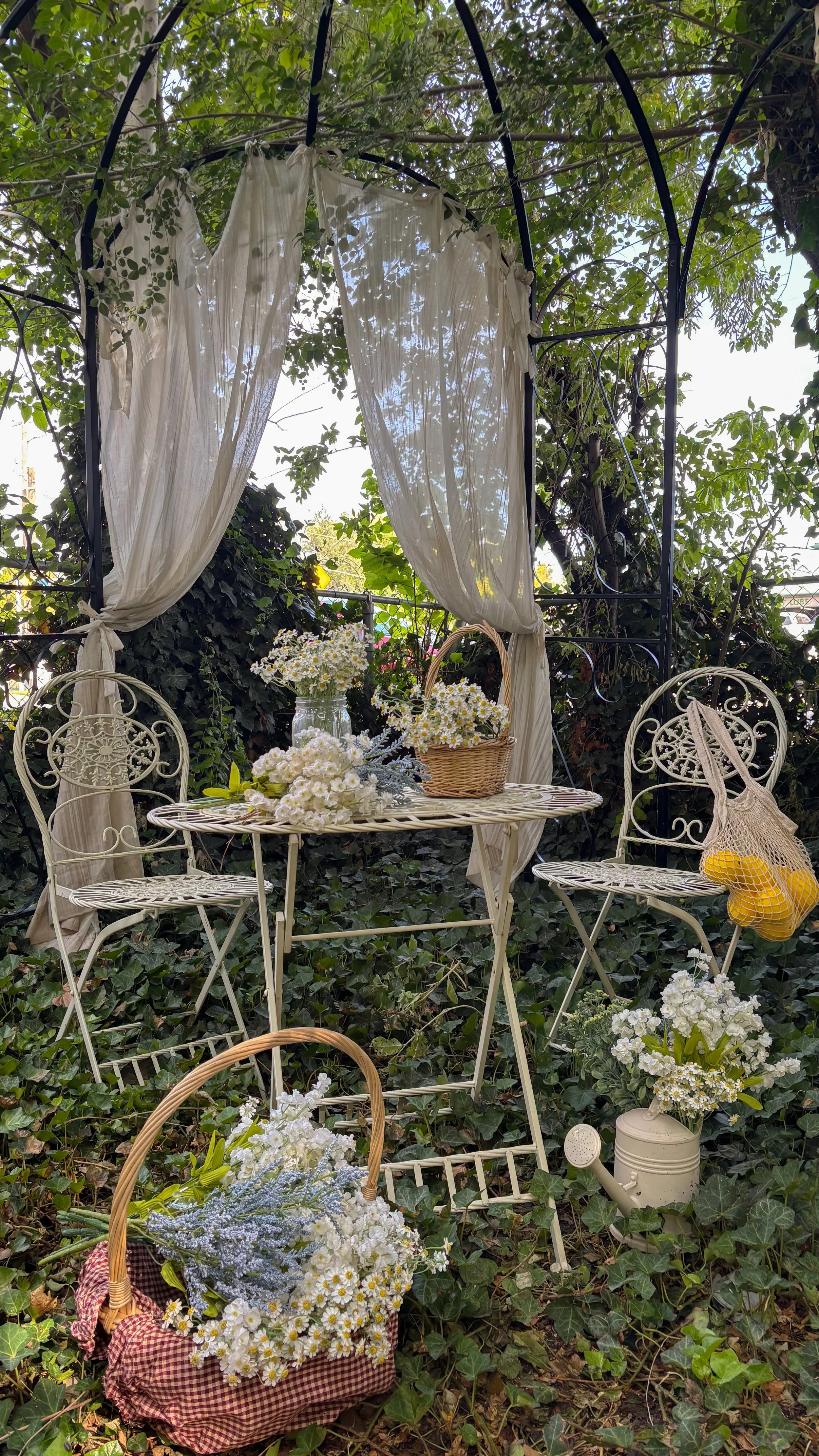 Greenhouse photo studio and garden backyard event space for photography, workshops, markets, pop-ups, classes, and intimate events like weddings, showers, luncheons, proposals, and date nights in Lehi, Utah