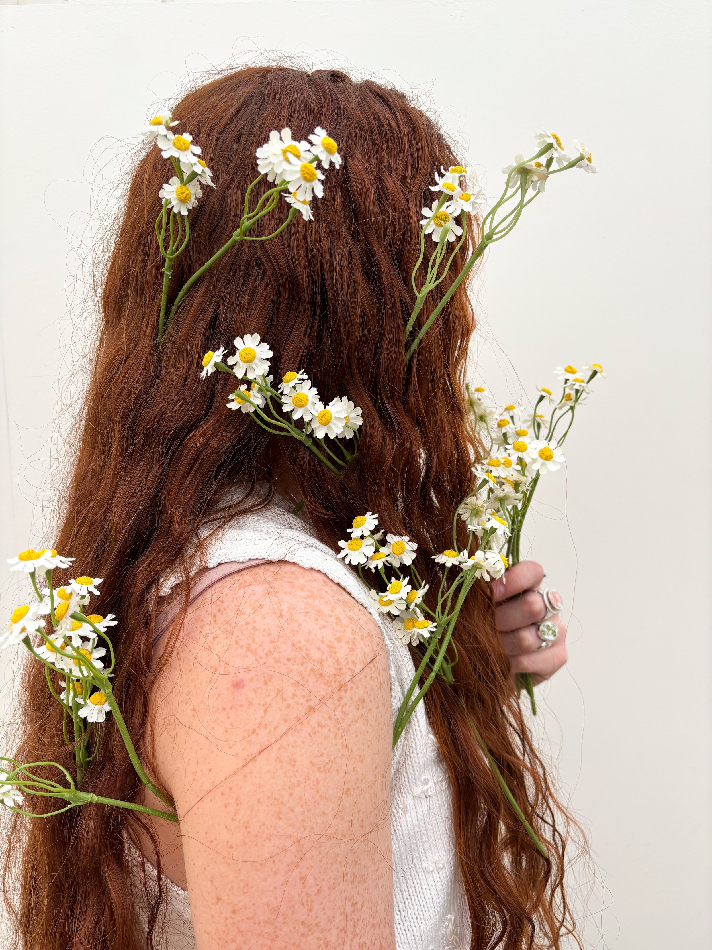 Photo Feb 25 2026, 2 51 00 PM.jpg