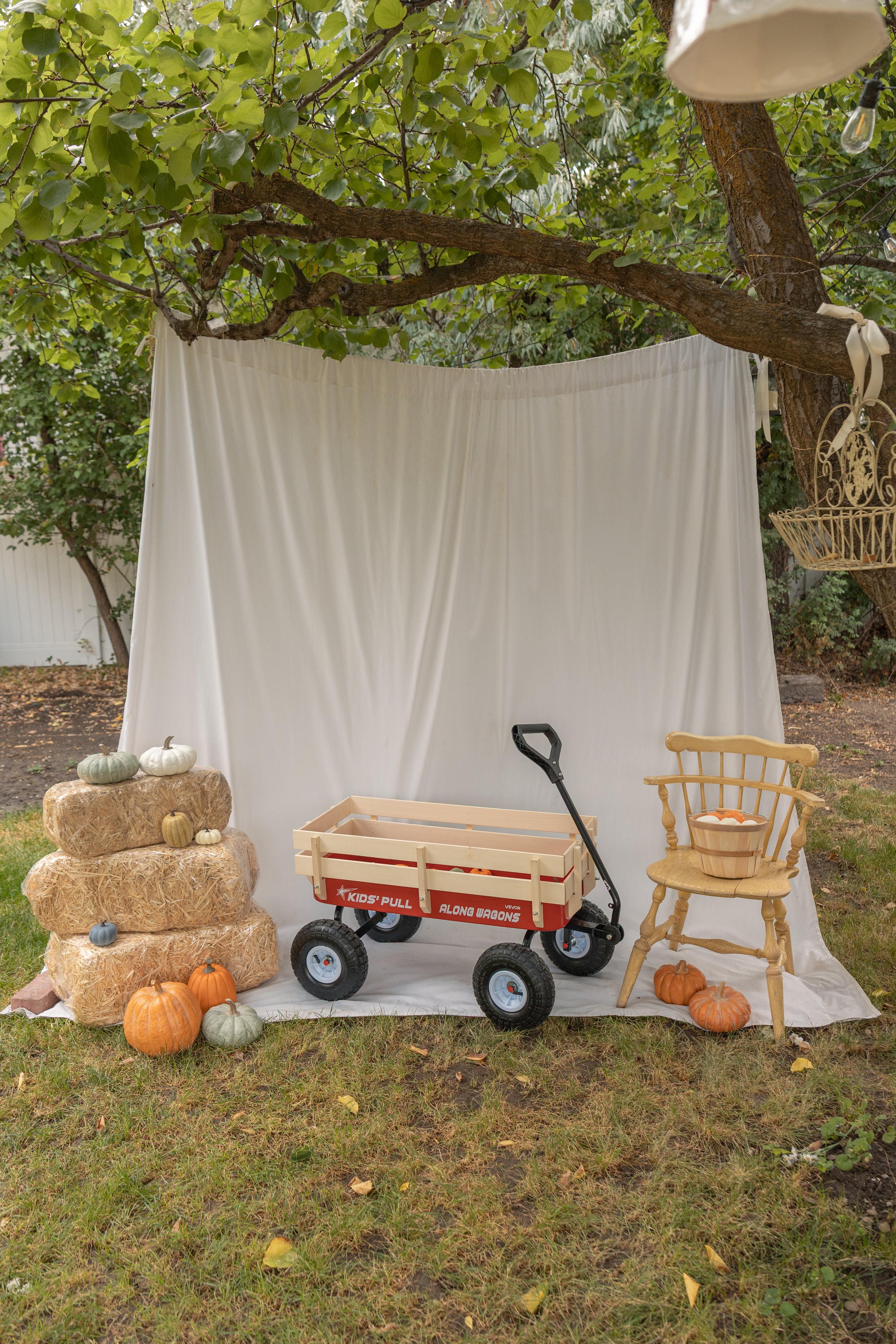ChasingRobinsMedia_TheDaeStudio_GreenHouseStudio_PhotographyStudioLehiUtah_UtahCountyPhotoStudio-5428.jpg