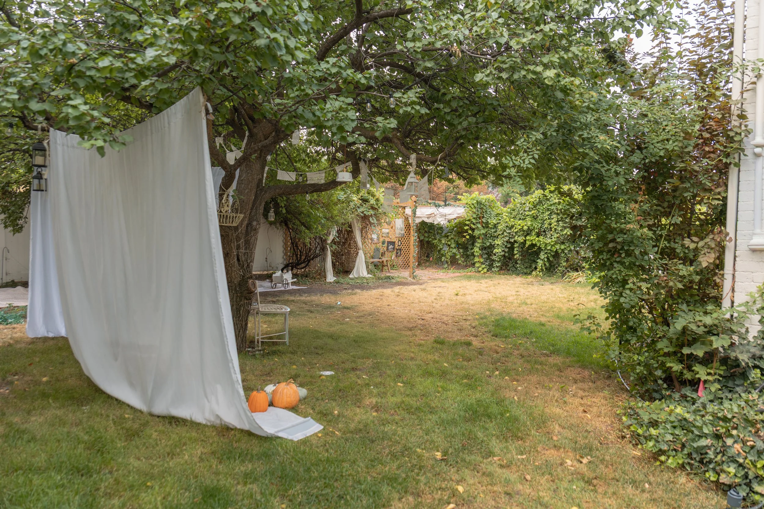 ChasingRobinsMedia_TheDaeStudio_GreenHouseStudio_PhotographyStudioLehiUtah_UtahCountyPhotoStudio-5455.jpg
