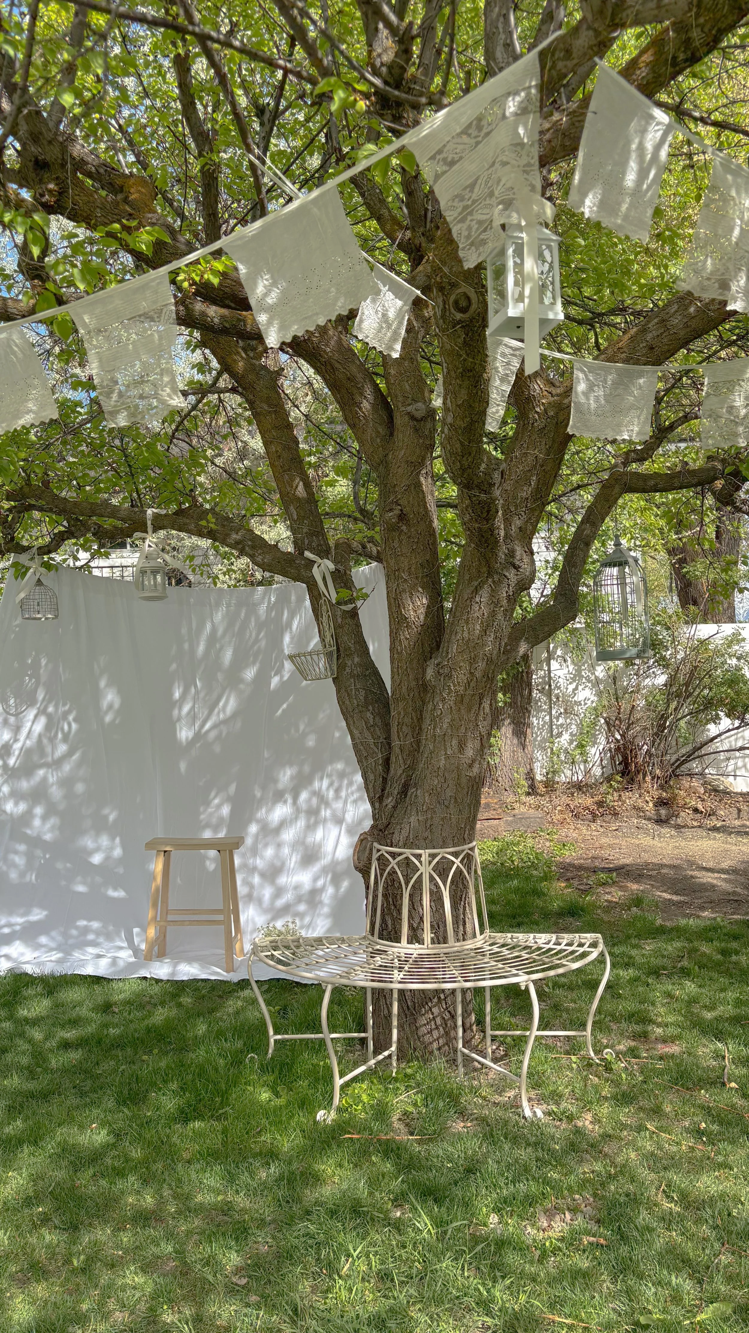 Greenhouse photo studio and garden backyard event space for photography, workshops, markets, pop-ups, classes, and intimate events like weddings, showers, luncheons, proposals, and date nights in Lehi, Utah