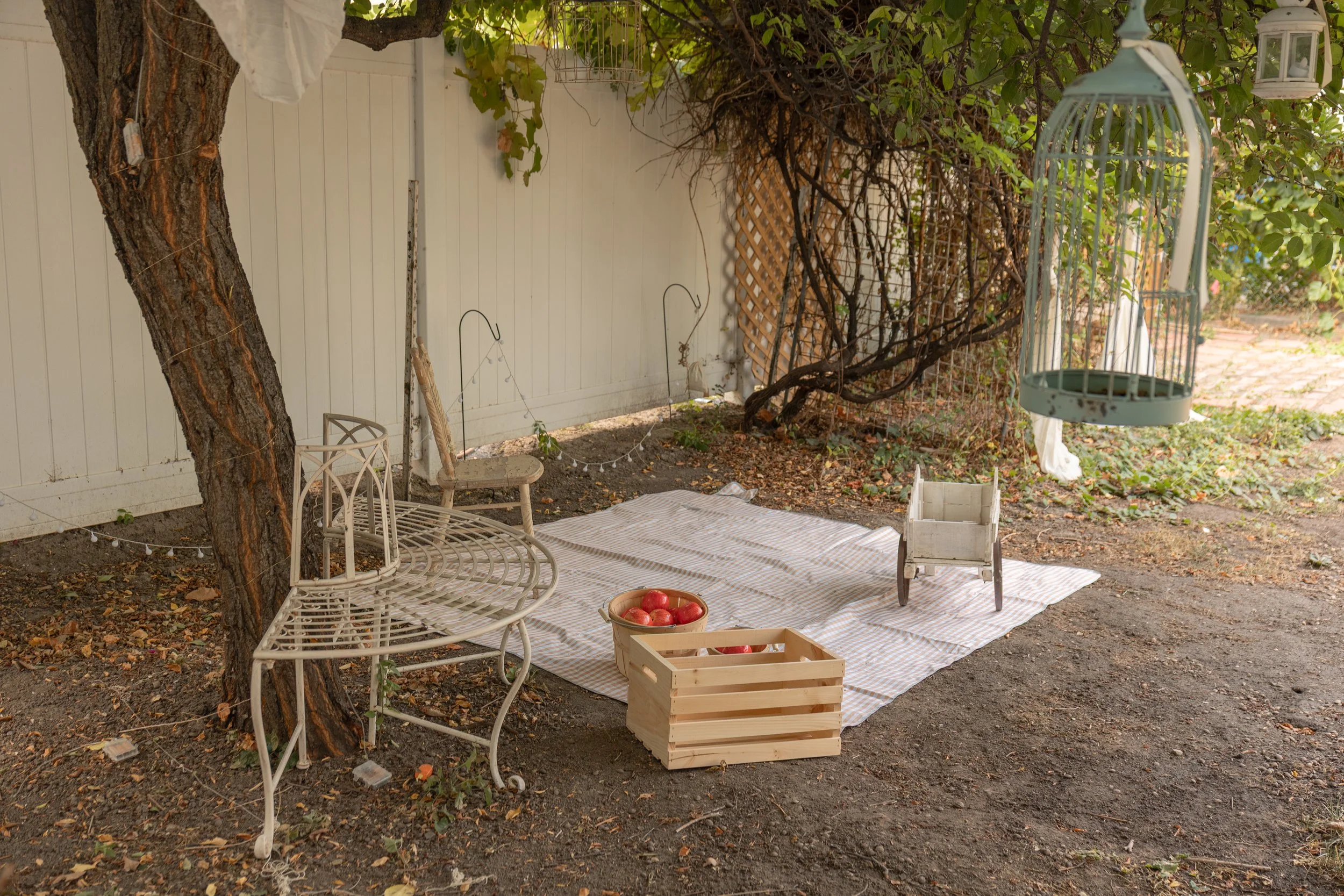 The Orchard Tree