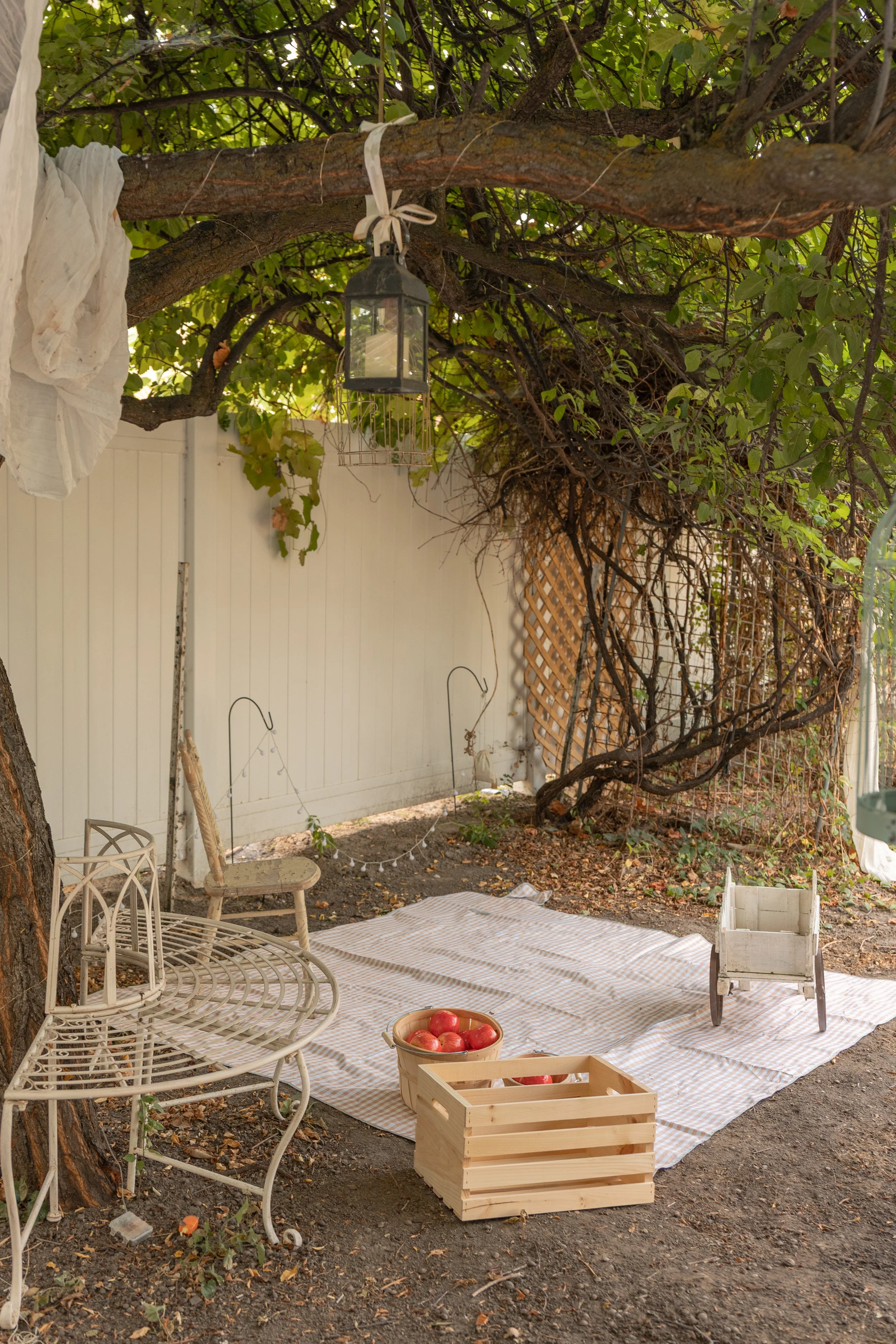 ChasingRobinsMedia_TheDaeStudio_GreenHouseStudio_PhotographyStudioLehiUtah_UtahCountyPhotoStudio-5423.jpg