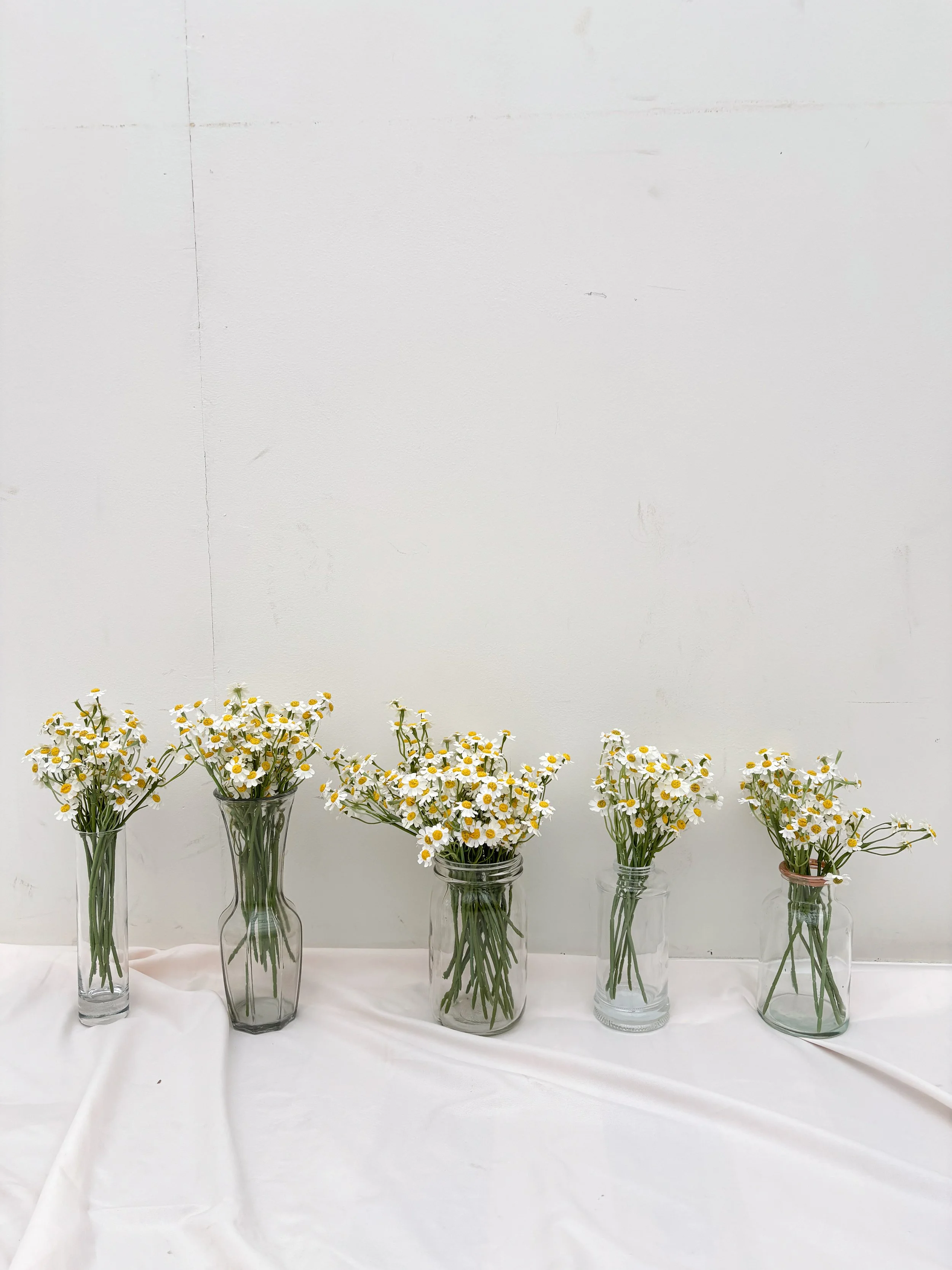 Photo Feb 25 2026, 3 07 56 PM.jpg