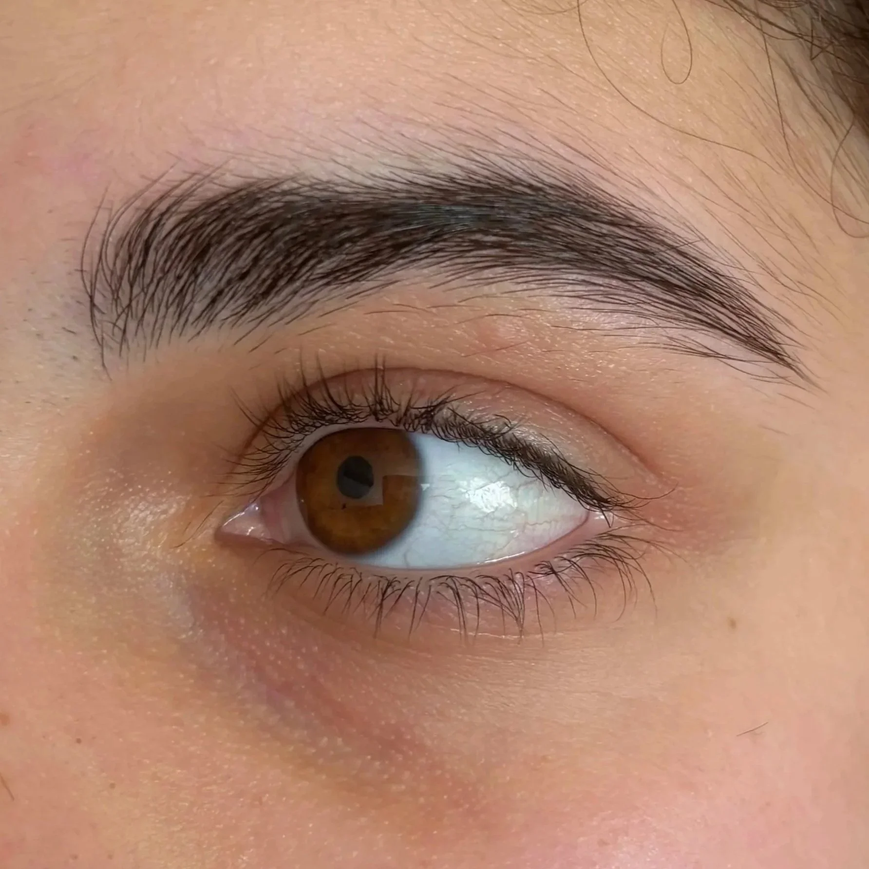 Close-up of a human eye with brown iris and dark eyelashes.
