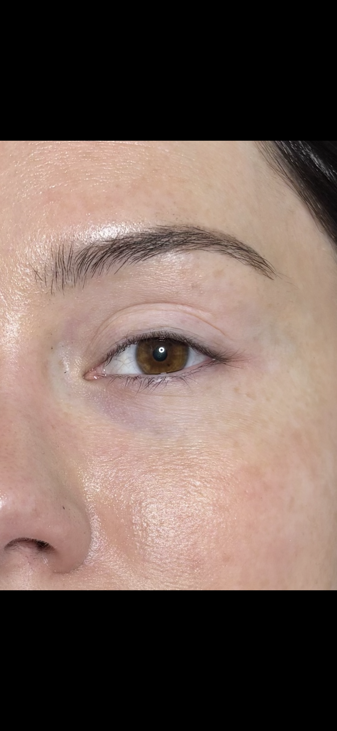 Close-up of a person's eye and eyebrow, showing brown eye, natural skin, and well-groomed eyebrow.