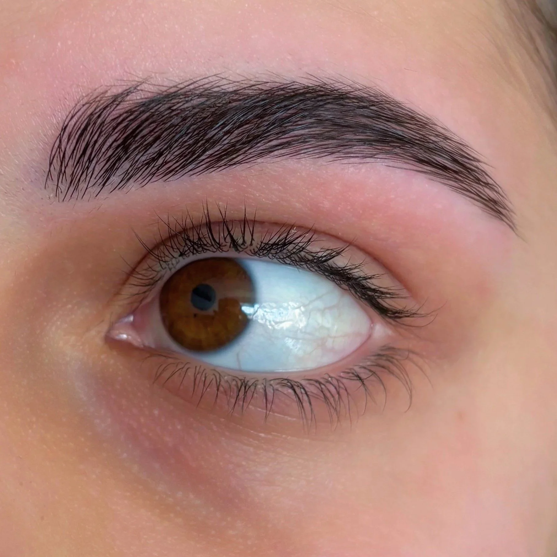 Close-up of a person's eye with well-groomed eyebrows and long eyelashes.