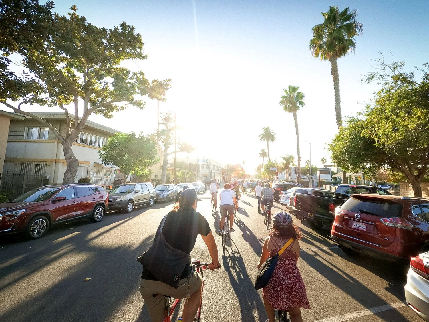 Street scene with people riding bicycles in the late afternoon or early evening, lined with parked cars, palm trees, and residential buildings, bright sunlight creating long shadows.