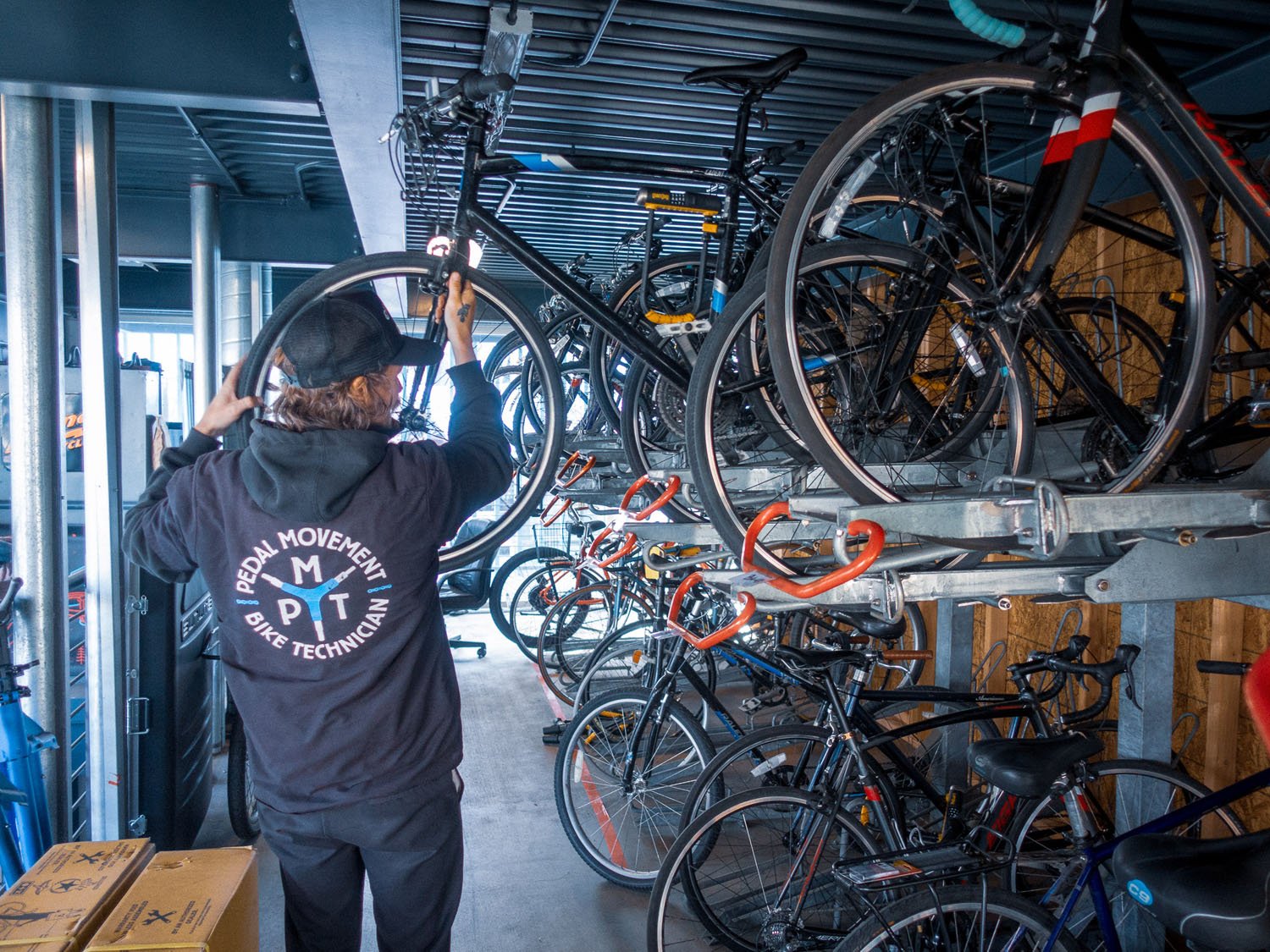 A person working on a bike in a bike shop, wearing a black hoodie with bicycle mechanics logo, among multiple bicycles on a two-tier bike rack.