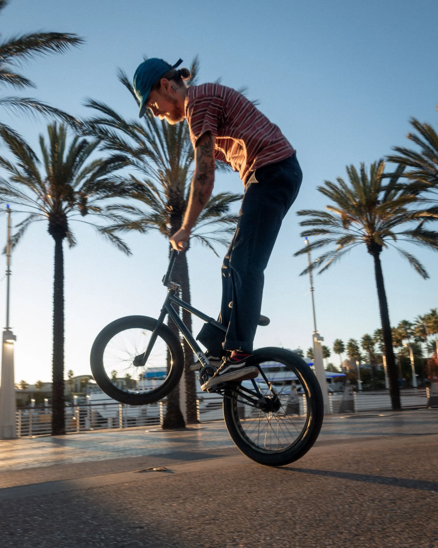 A person performing a wheelie on a bicycle on a paved area near palm trees at sunset.