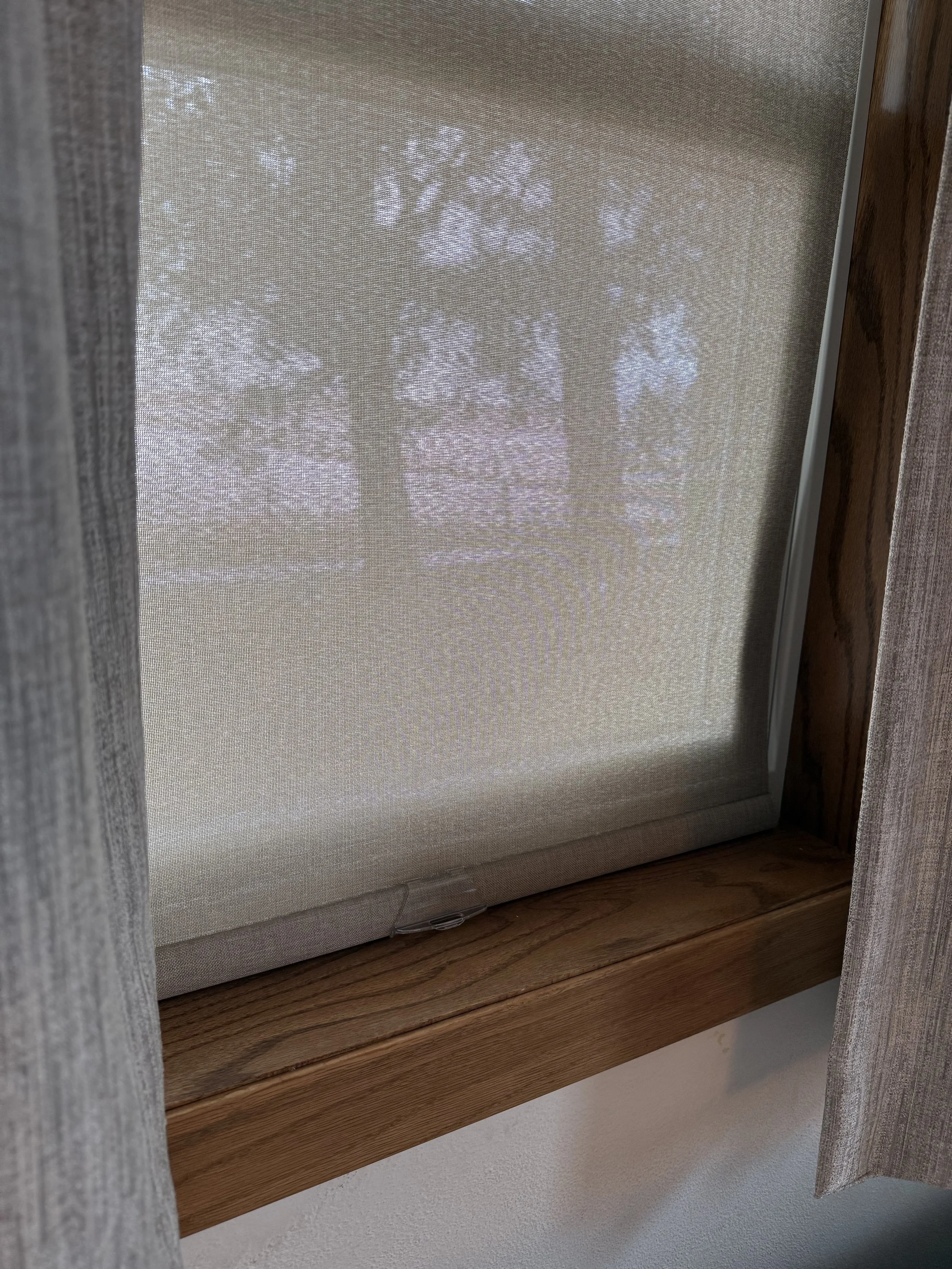 Master Bedroom roller Shade