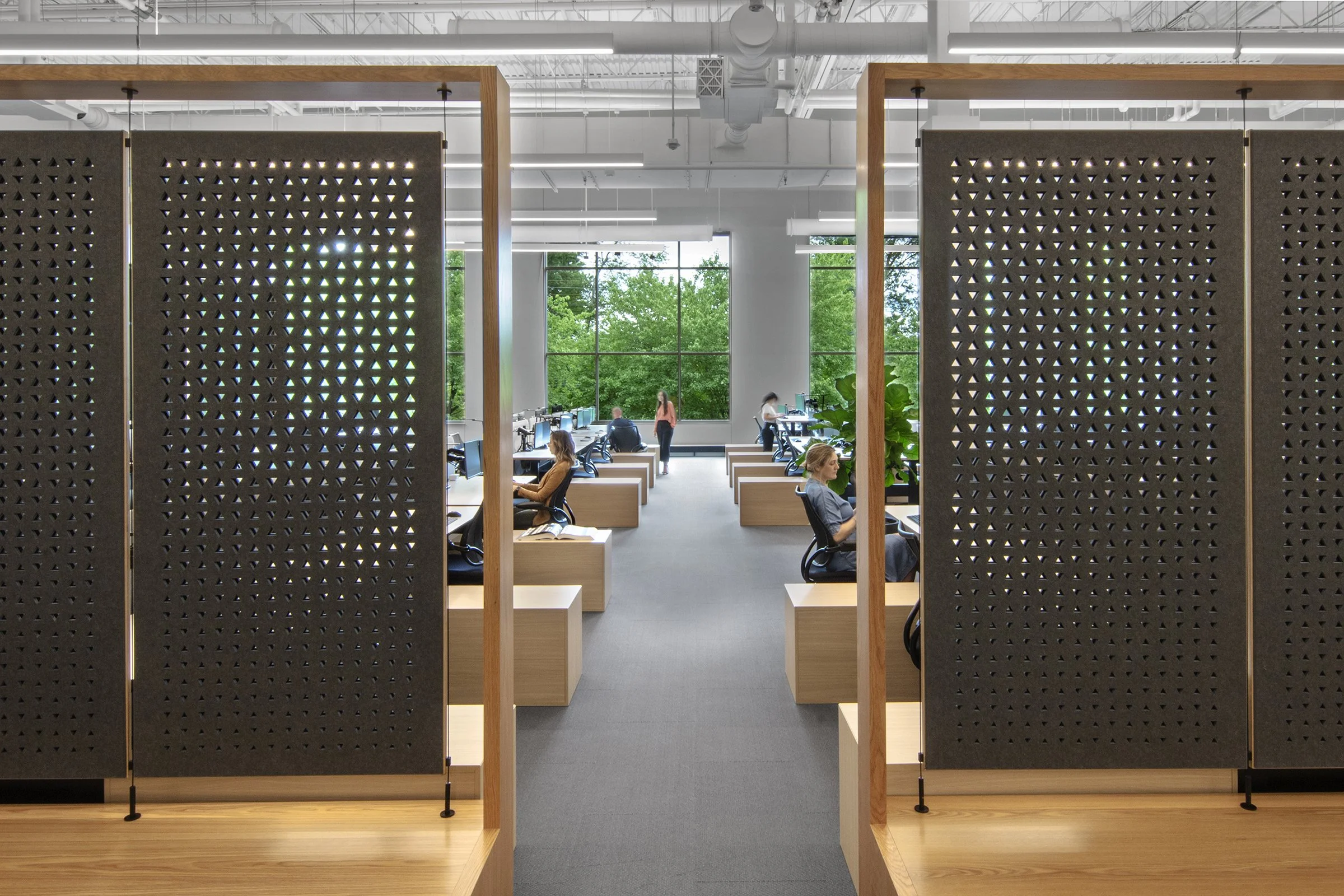 SPACE DIVISION - SOLA FELT PANELS