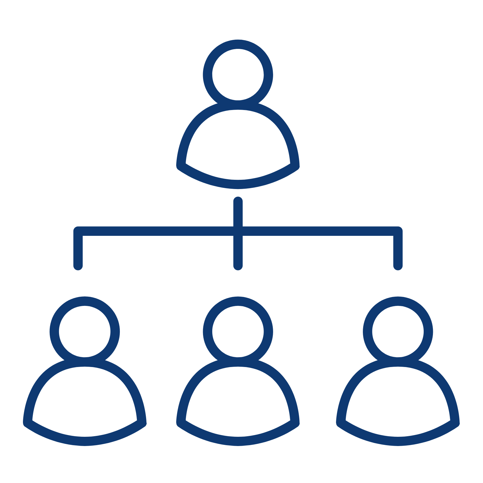 Organisation Chart