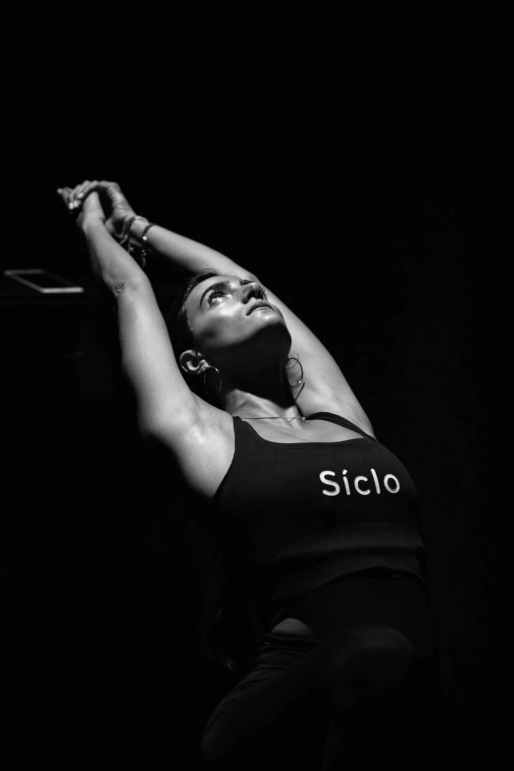 SicloPlusArtz119.jpg