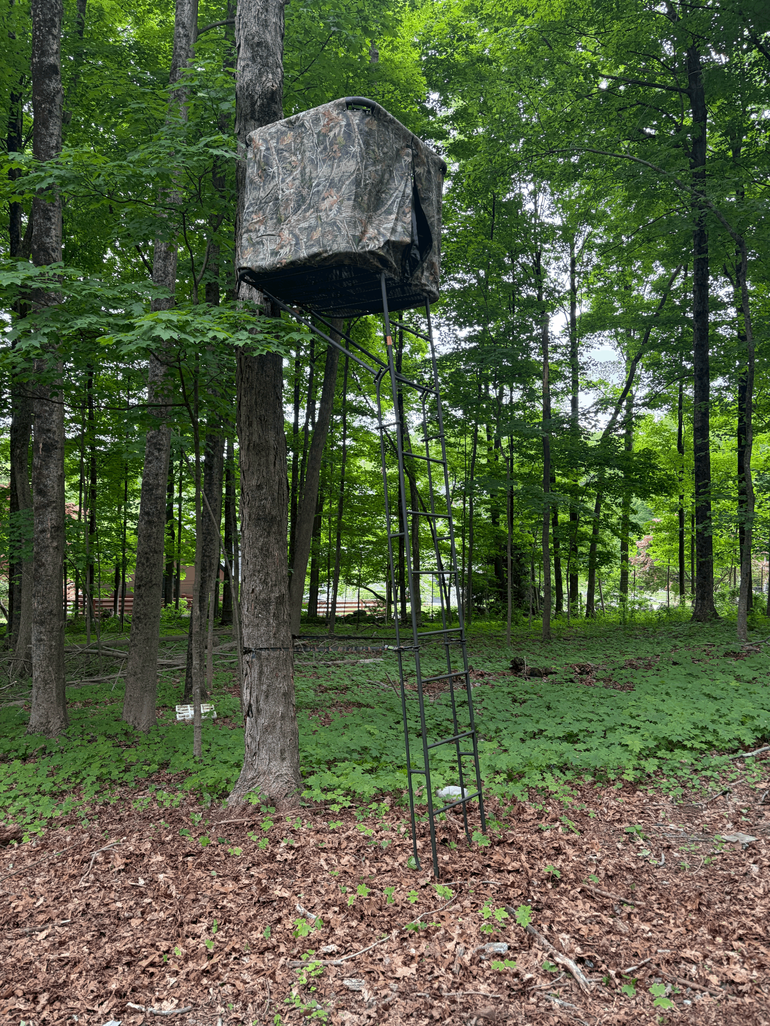 Family Tradition Treestands- LD360 – SWIVEL SEAT LADDERSTAND (with skirt) MADE IN USA
