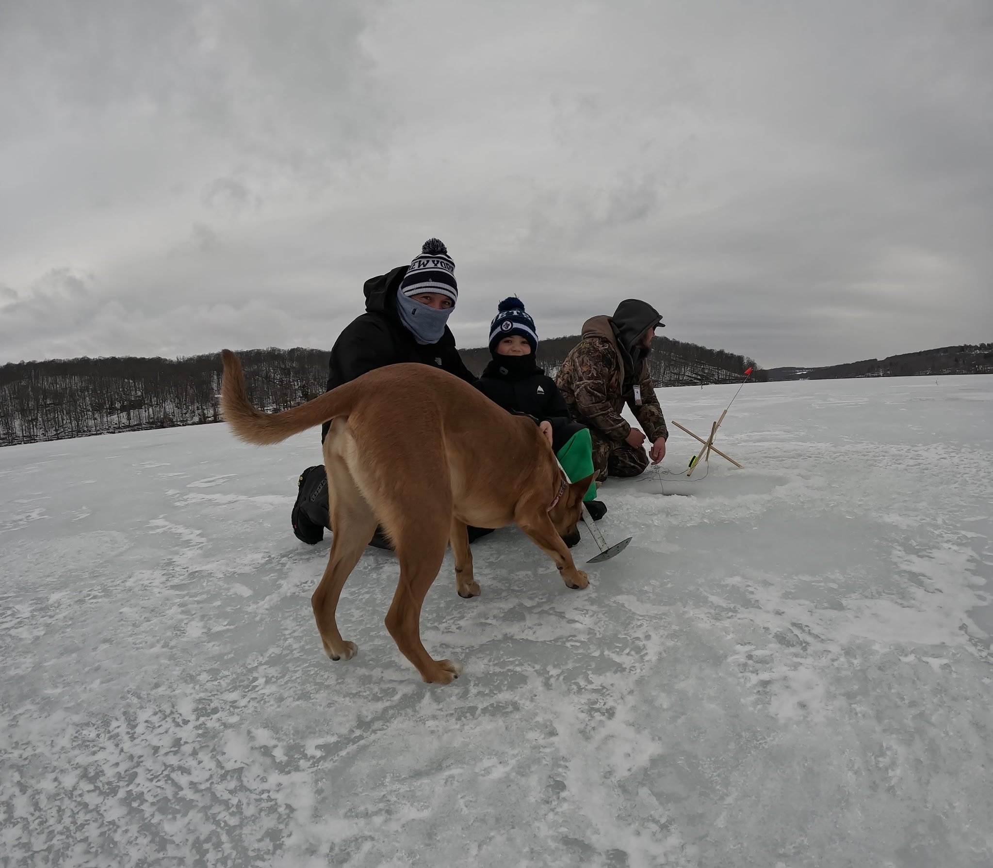 Three people and a dog ice fishing on a frozen lake with cloudy skies and distant trees.