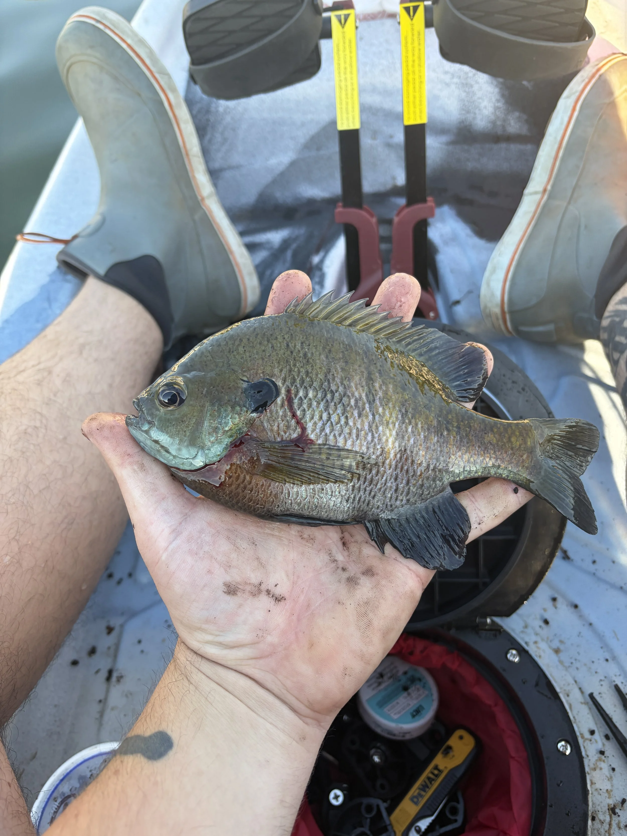 Outdoor Skills Academy- Youth Angler and Watercraft Summer 2026
