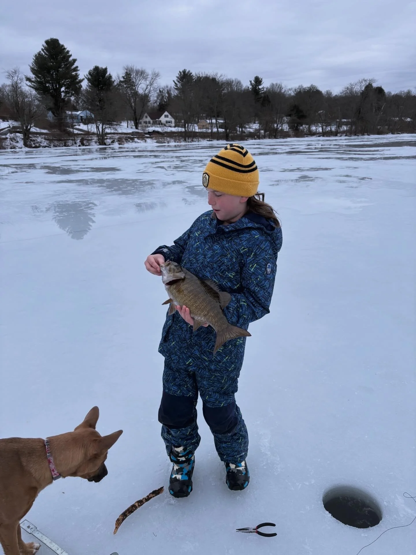 A girl in winter clothing holding a fish on a frozen lake with a dog nearby and ice fishing hole.