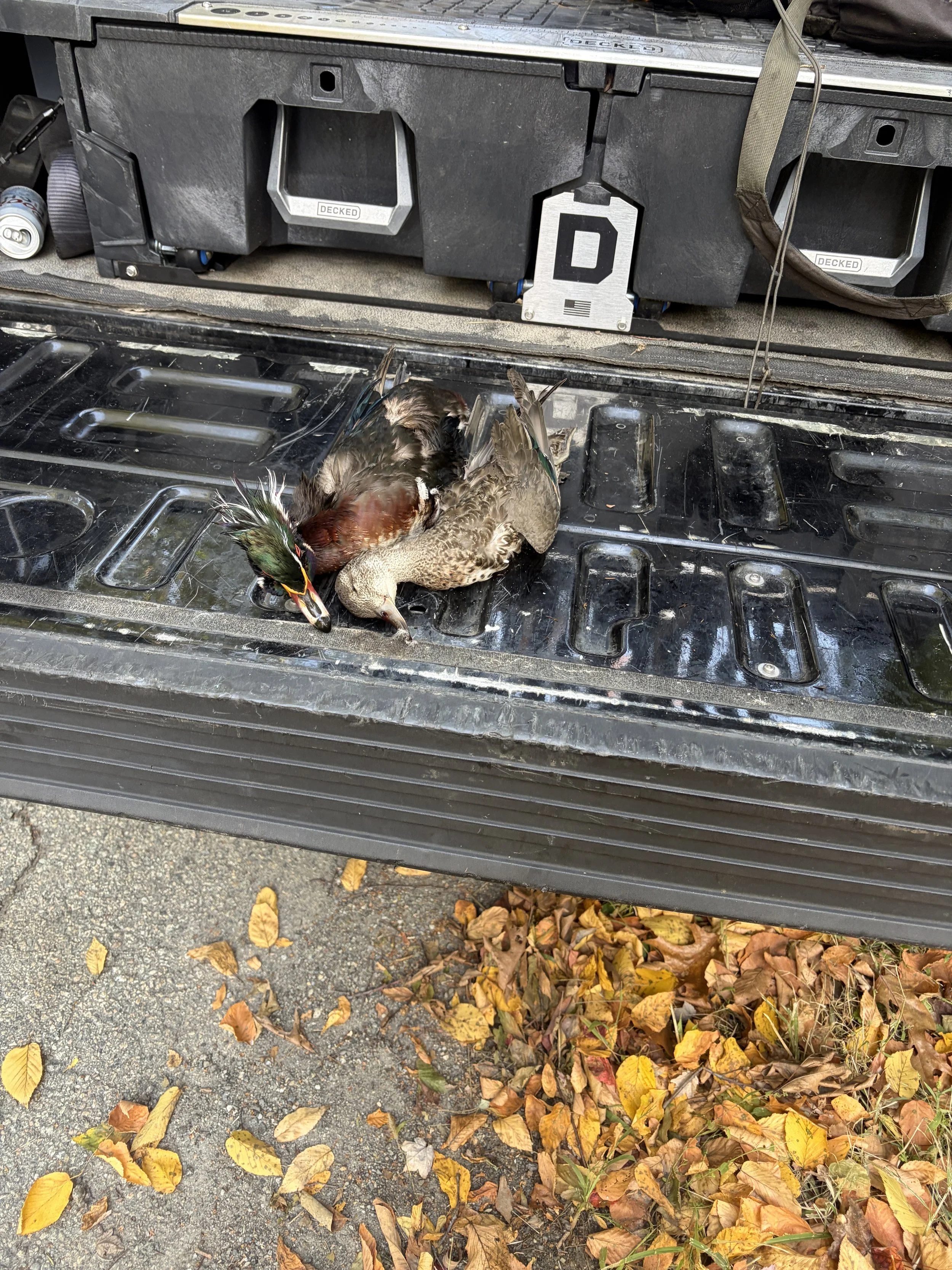 10/10/26 McLaughlin trip. First time duck hunter. 1 Drake woodie 1 green wing teal 