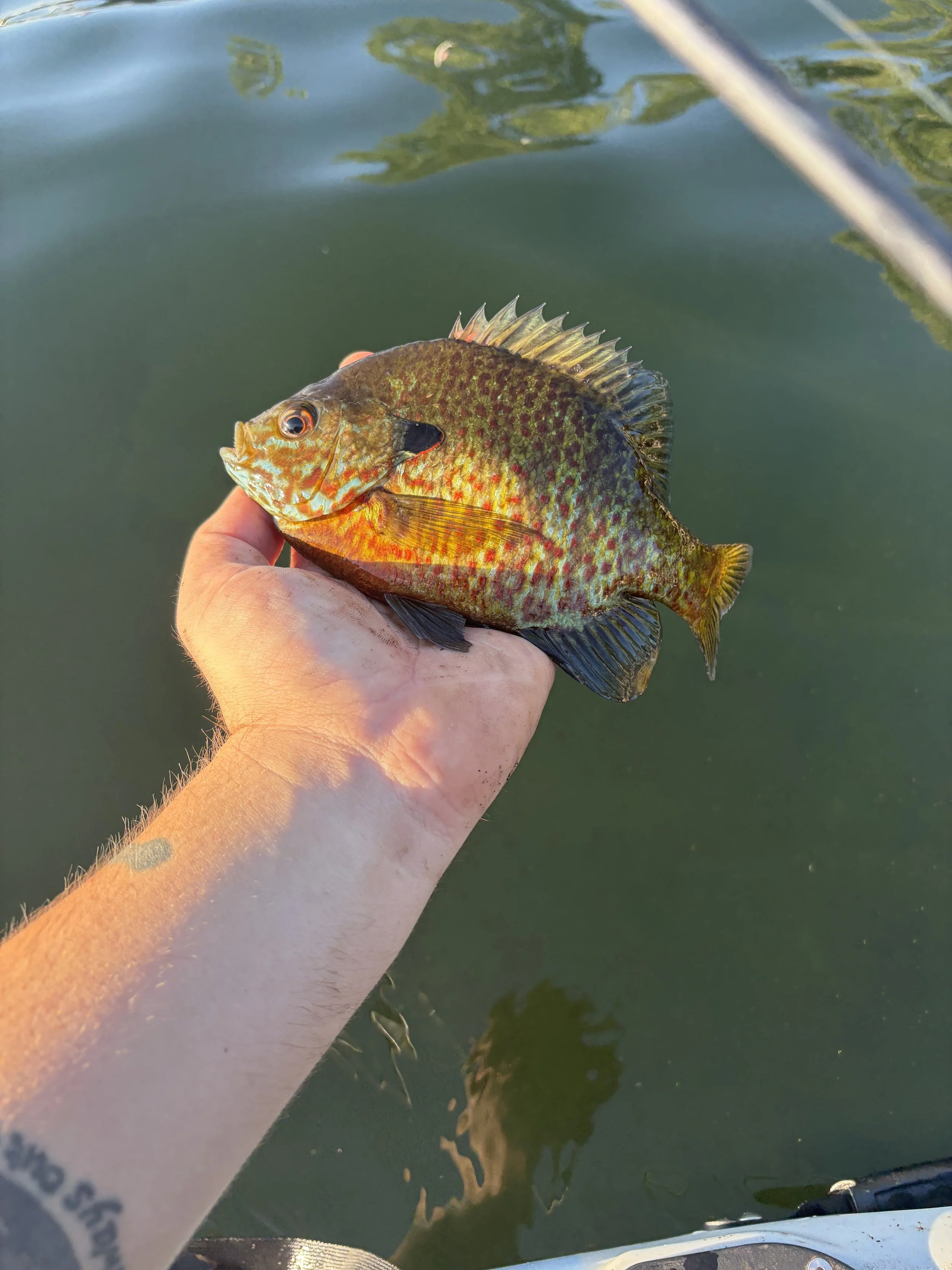 Outdoor Skills Academy- Youth Angler and Watercraft Summer 2026