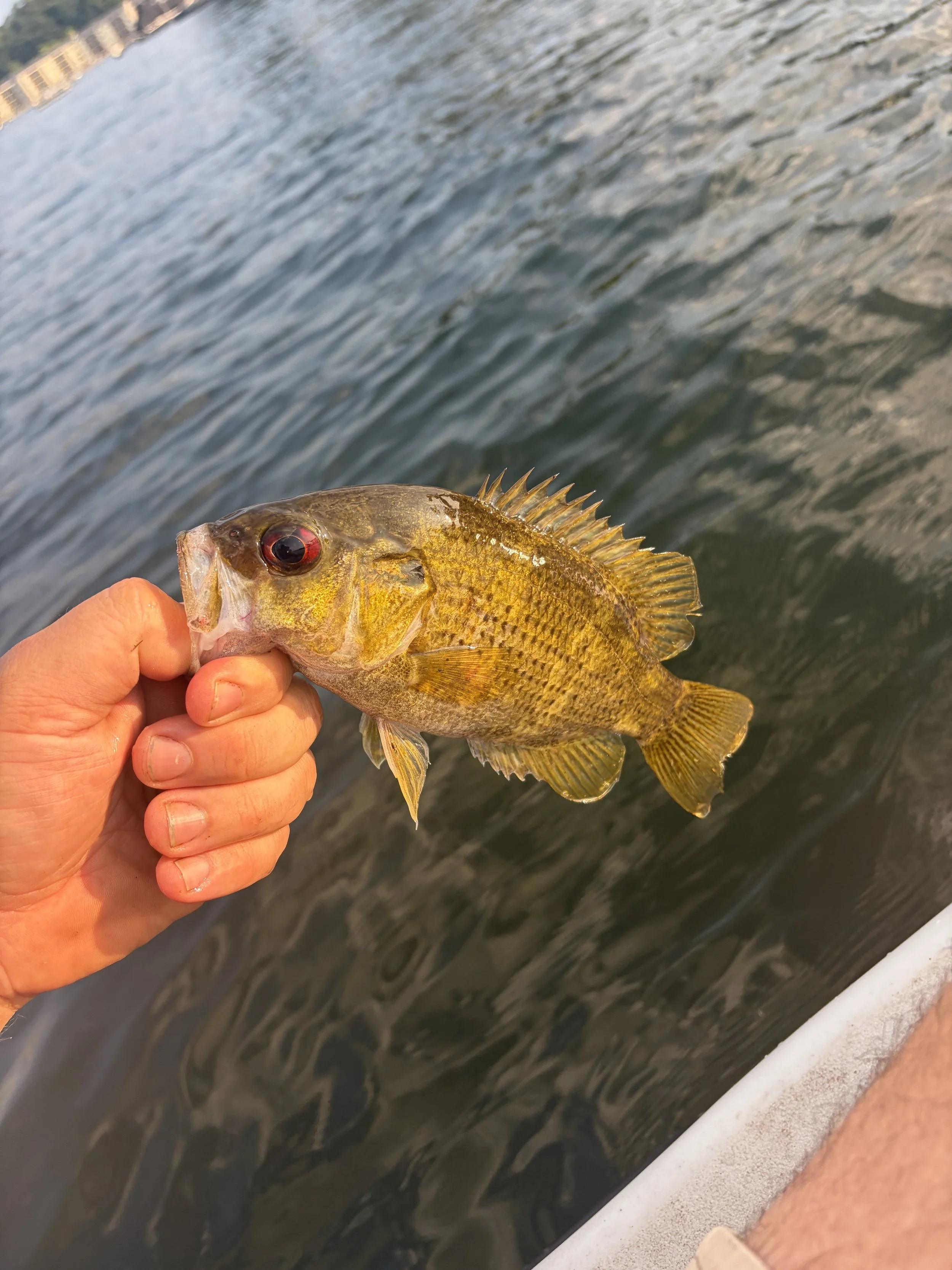 Outdoor Skills Academy- Youth Angler and Watercraft Summer 2026