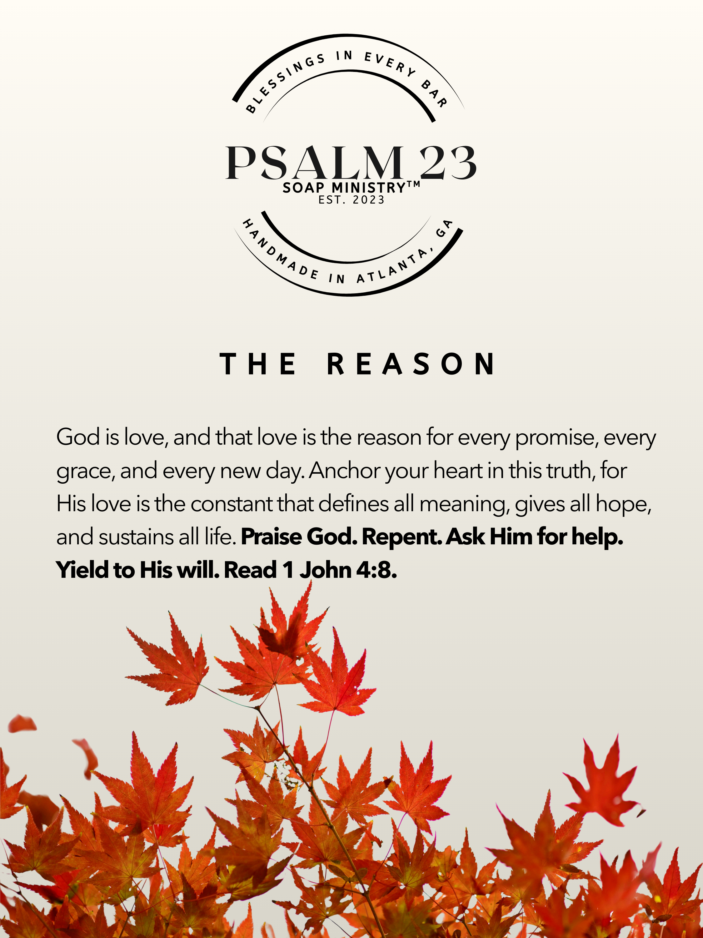 THE REASON (2).png