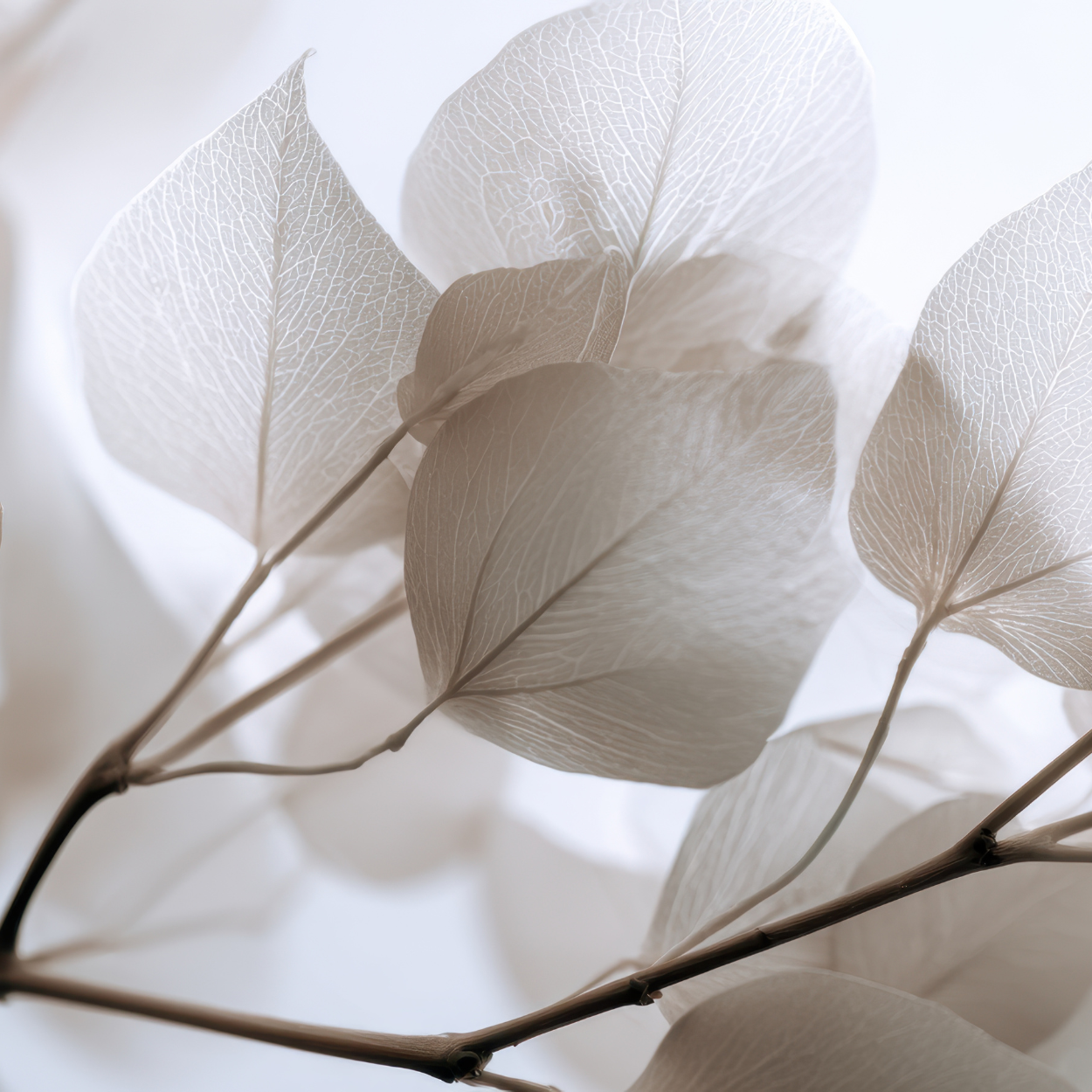 Floral & Fragrant Sample