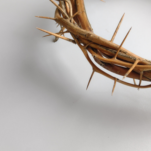 A crown of thorns with long, sharp thorns on a white background.