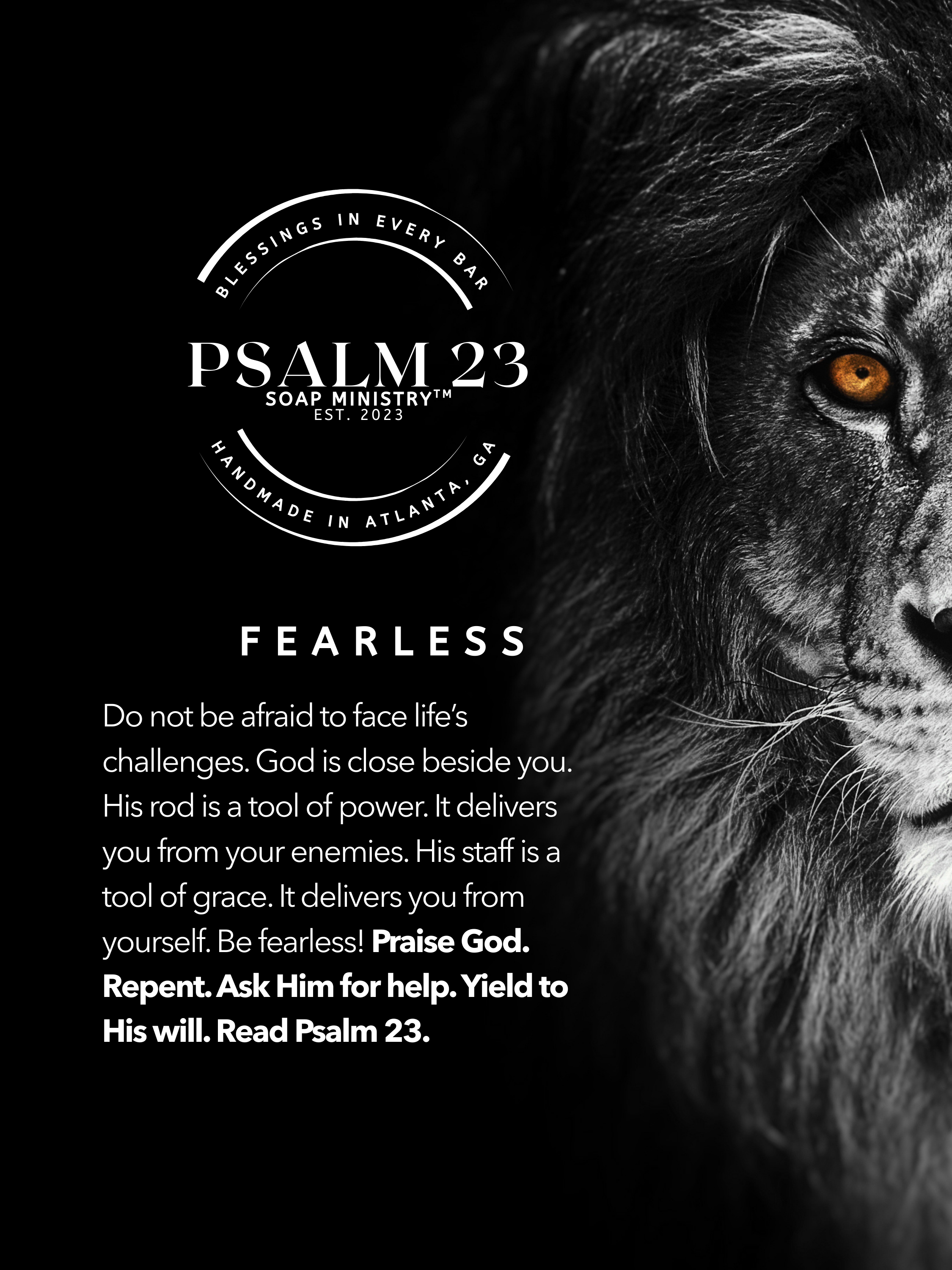 Fearless Fierce scripture story card