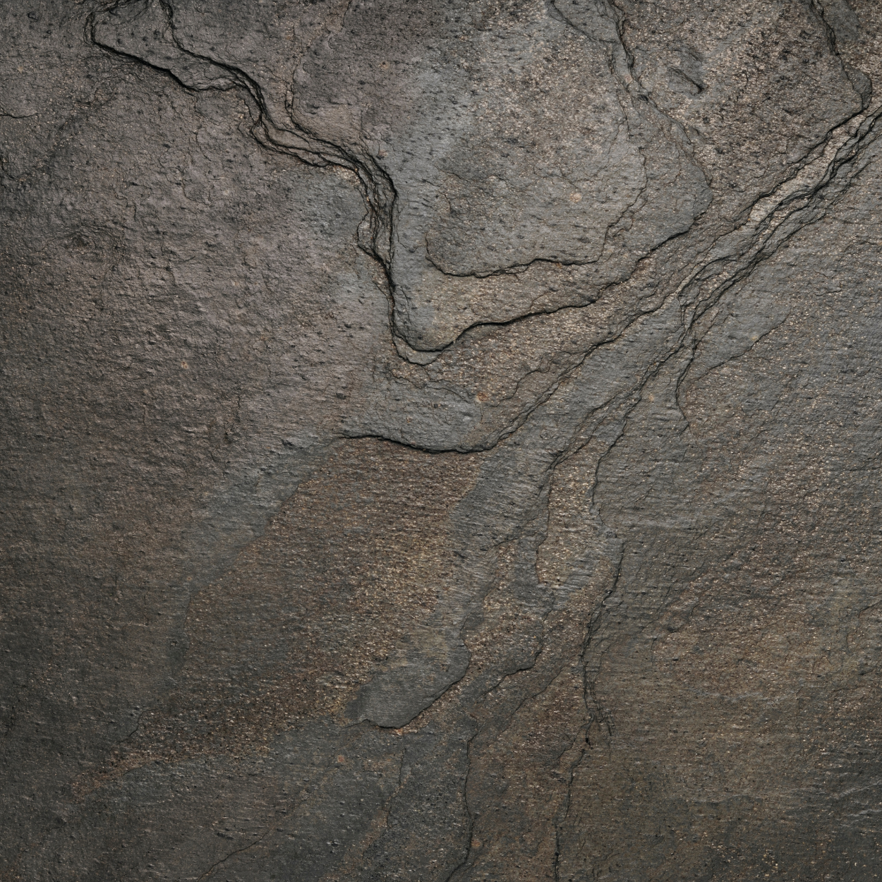 Woody & Grounding Sample