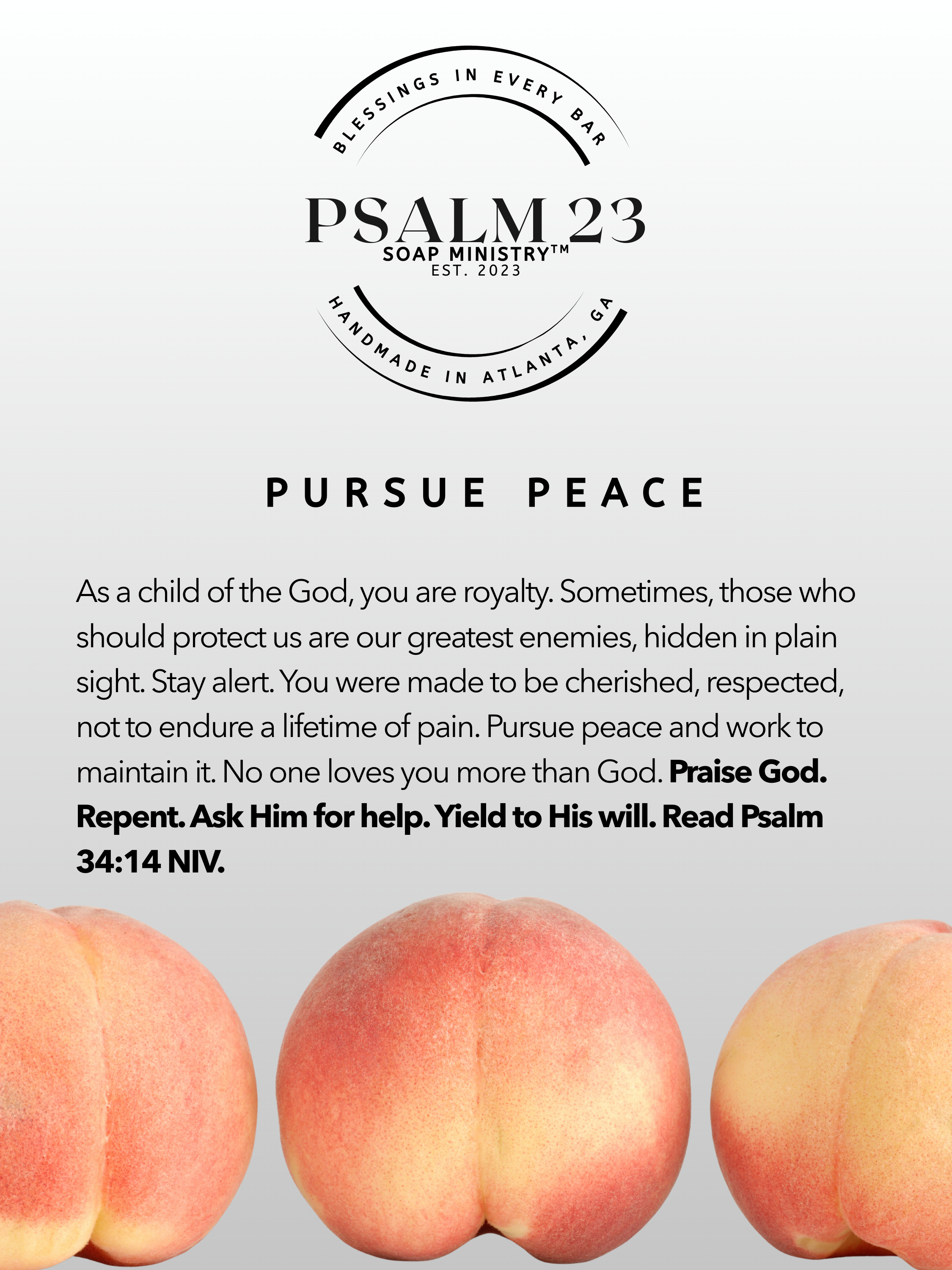 PURSUE PEACE (4).png