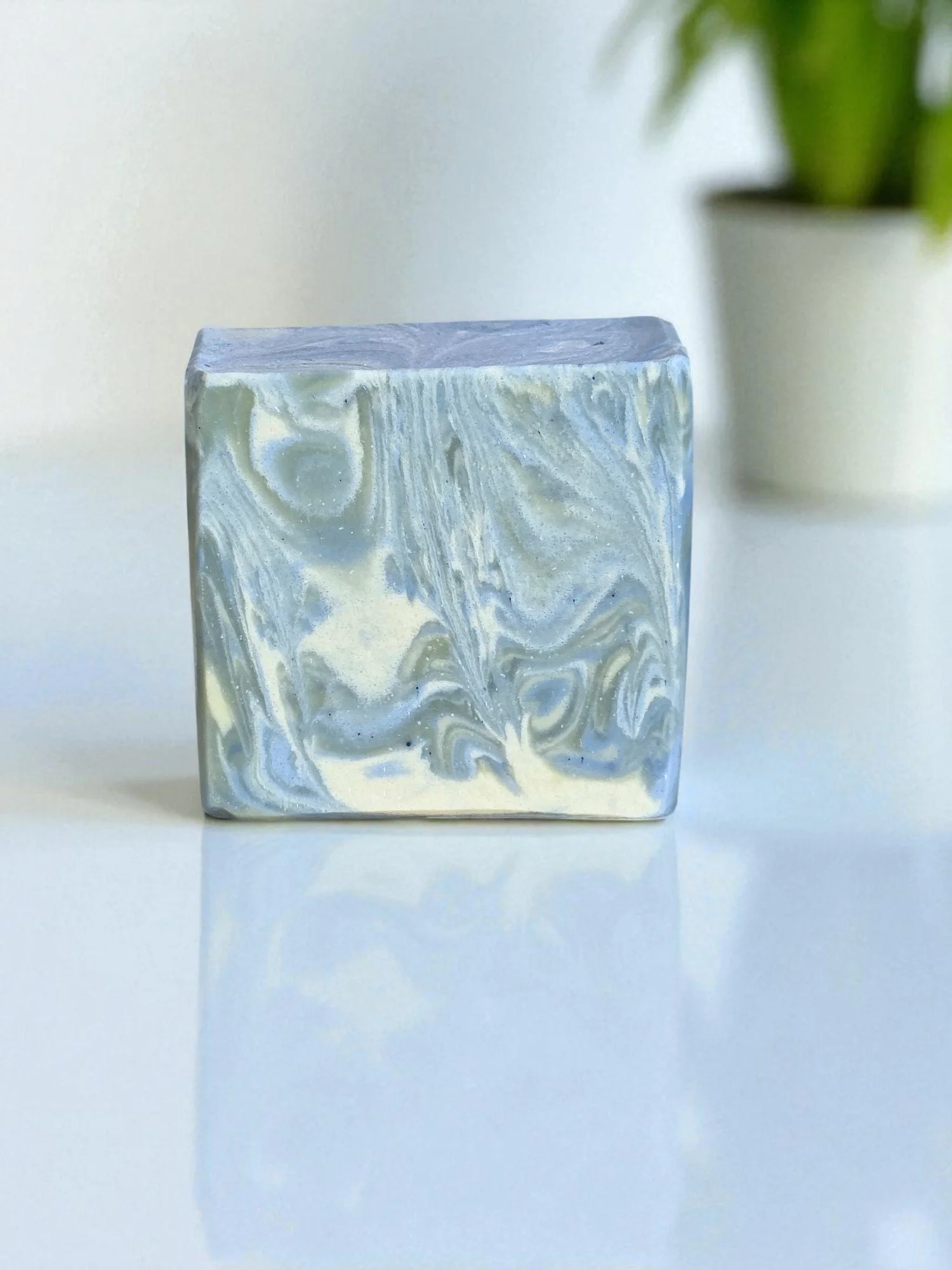 Member Pre-Order Reservation