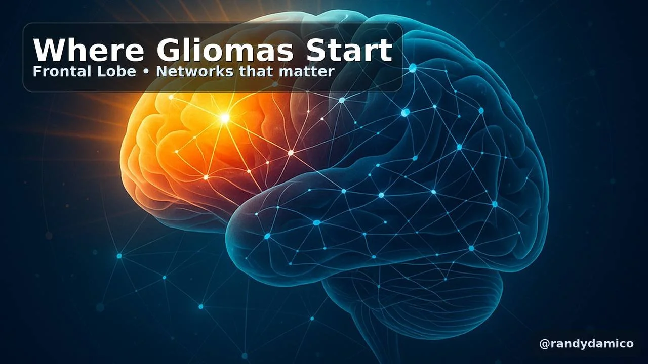 Where Gliomas Start — And Why Location Should Shape Surgery