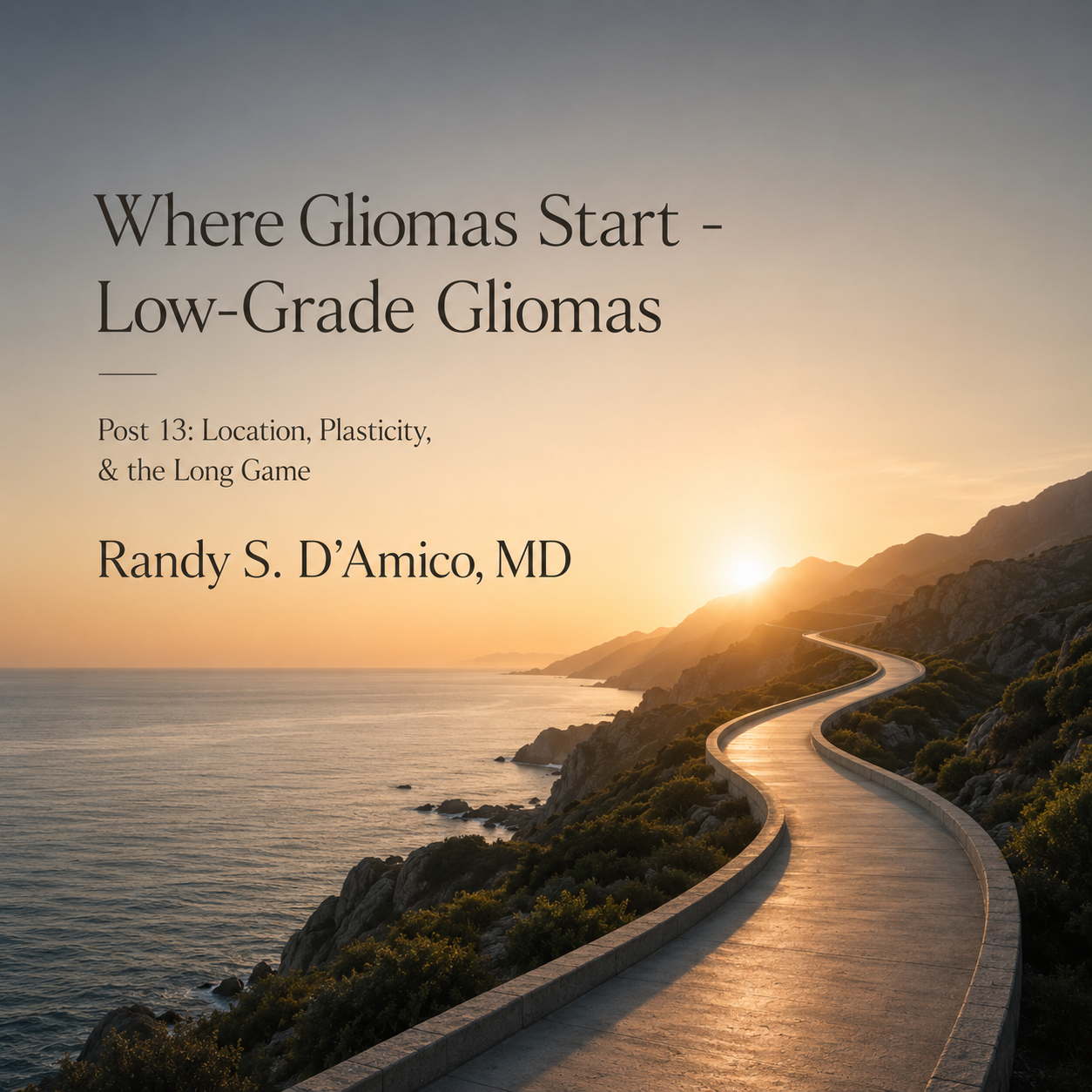 Minimal brain graphic with subtle network glow; title ‘Where Gliomas Start — Low-Grade Gliomas.’