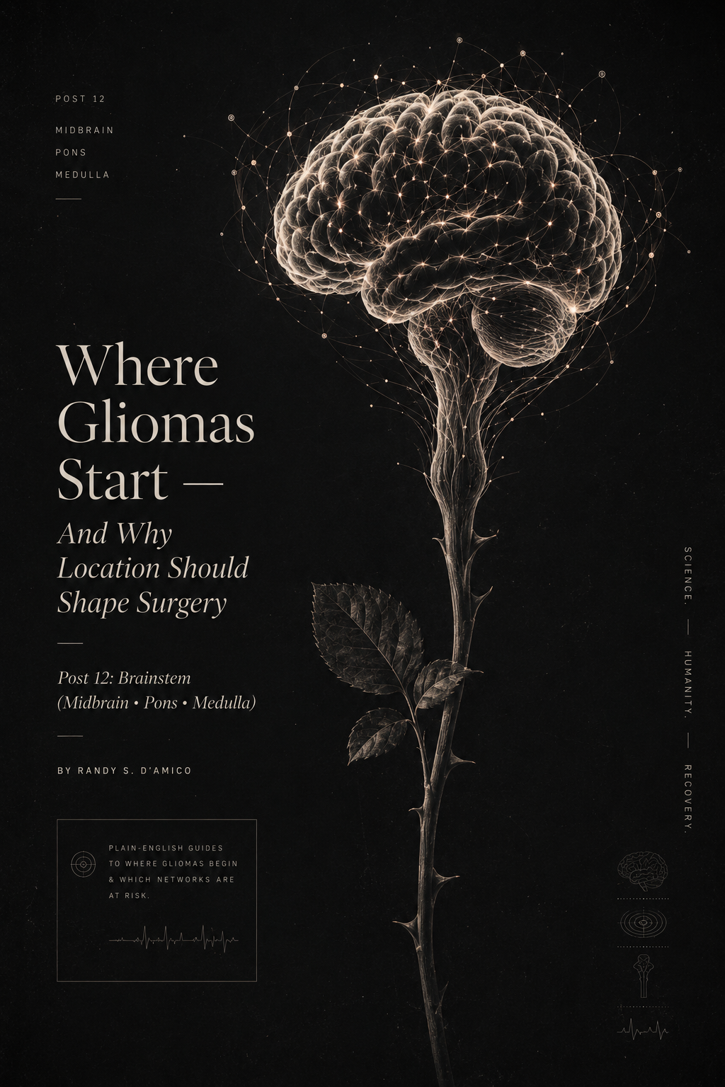 Minimal brain graphic highlighting the brainstem; title ‘Where Gliomas Start — Brainstem.
