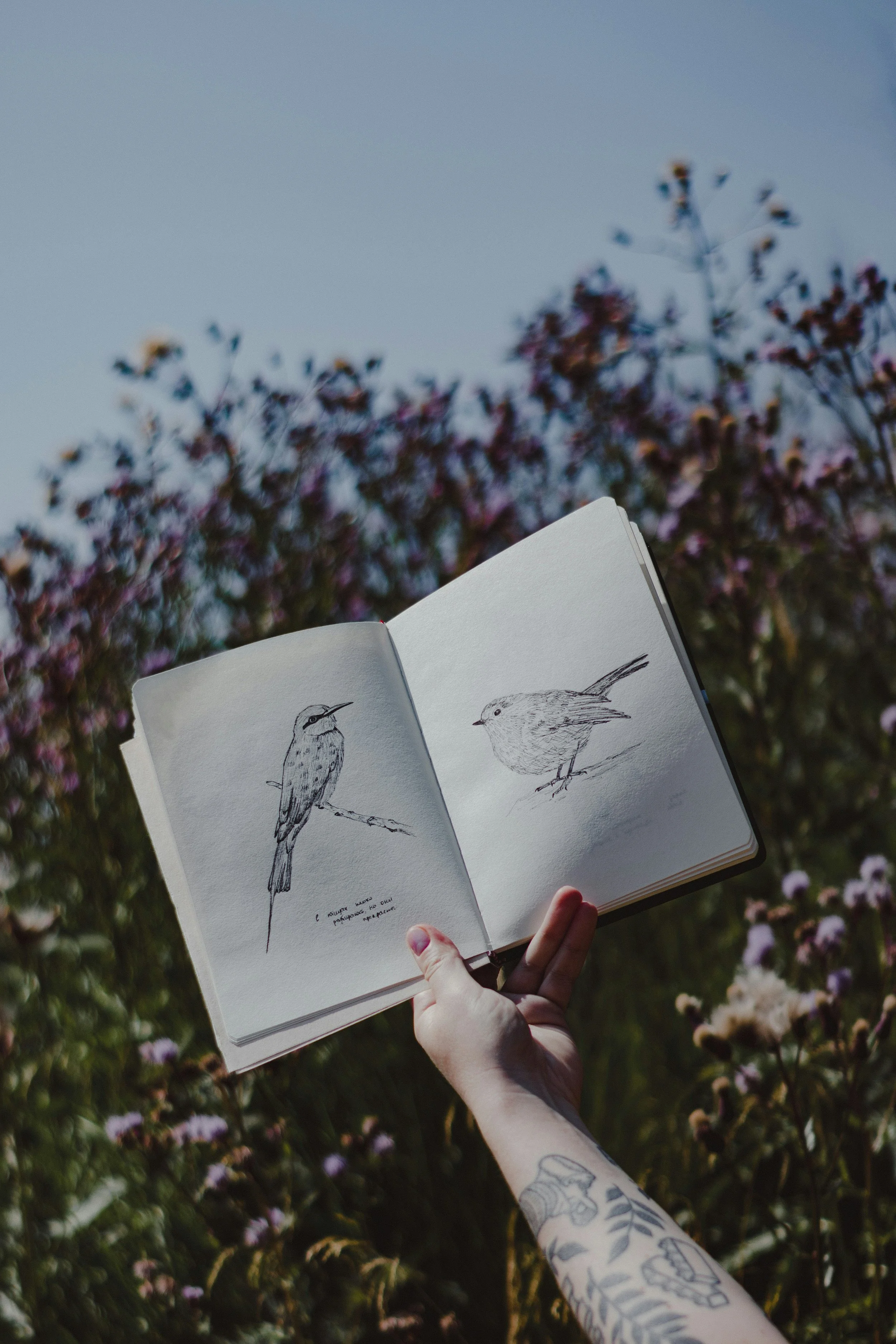 Person holding an open sketchbook with bird drawings, outdoors among flowering plants and clear sky.