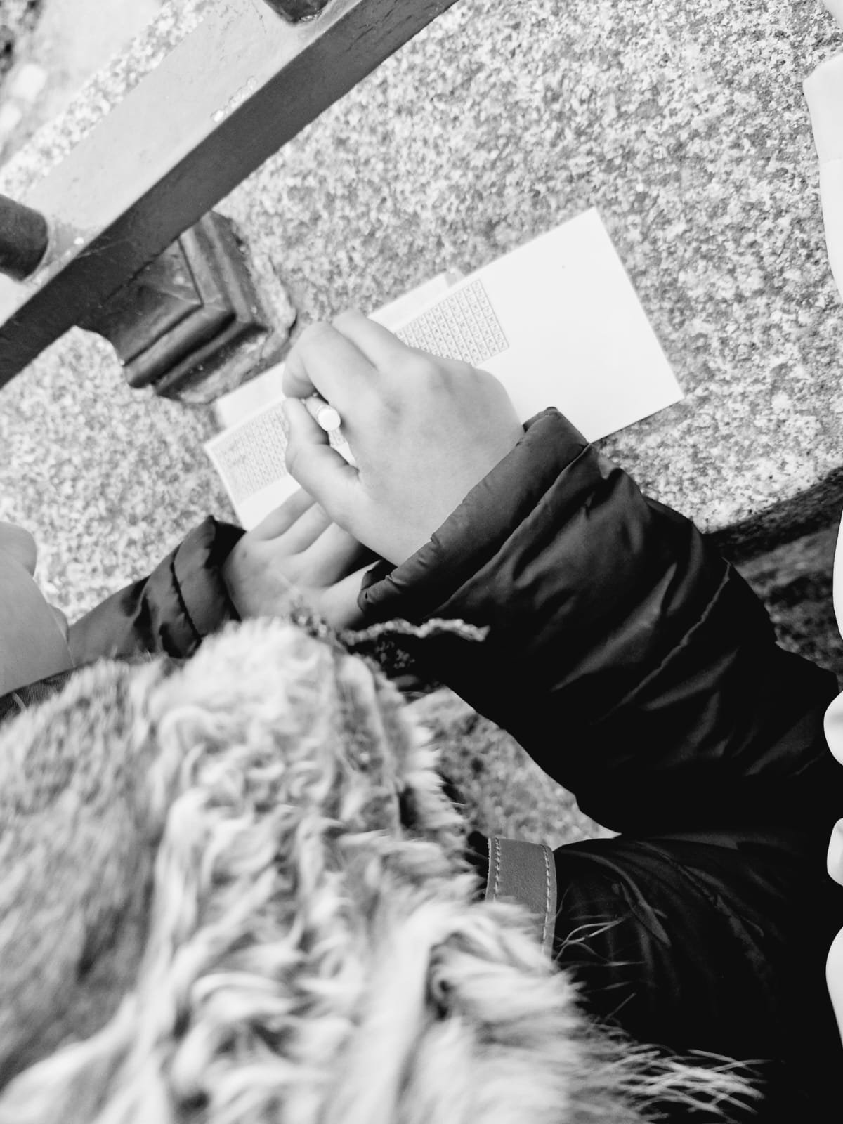 WhatsApp Image 2026-02-26 at 16.02.32.jpeg