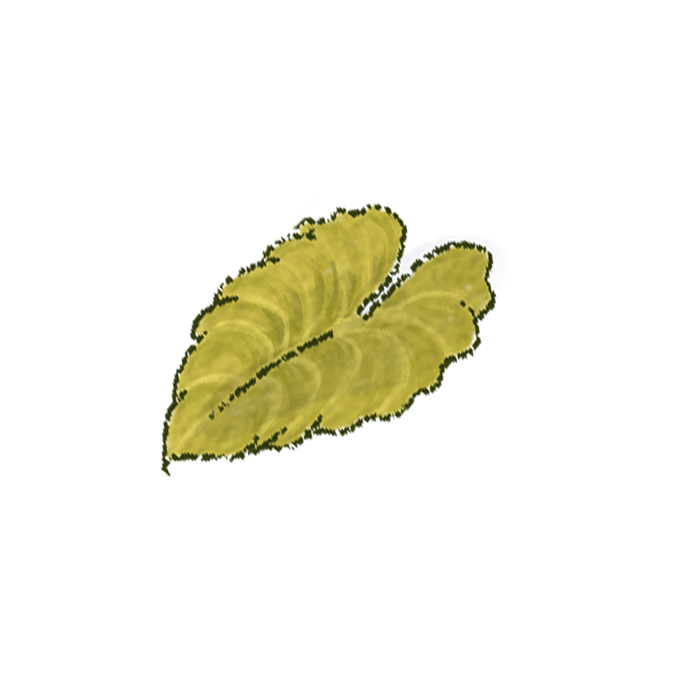 Rahua-Individual-Border-pieces-GIF.gif