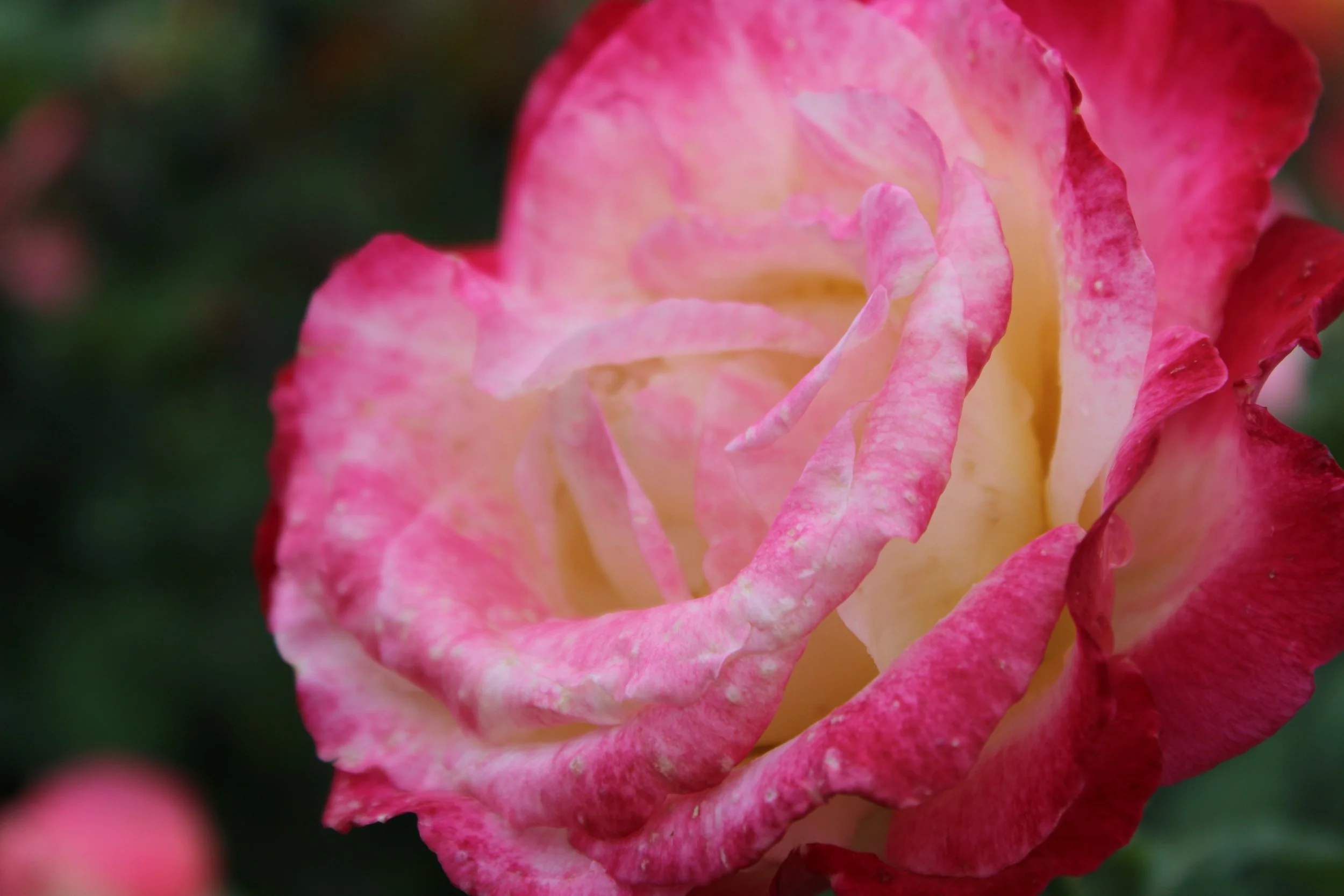 The Start of Something