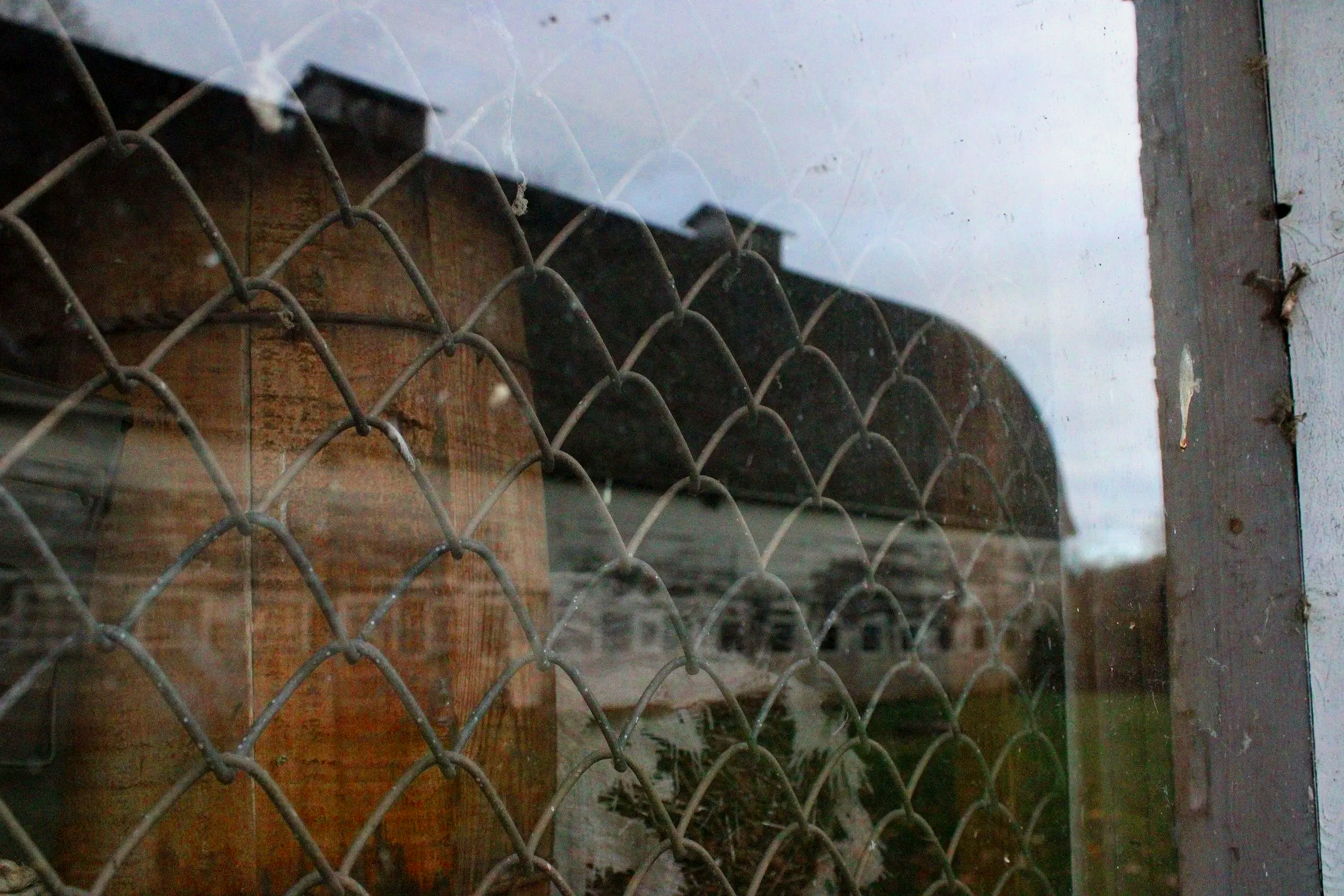 When Hope and Reality Collide