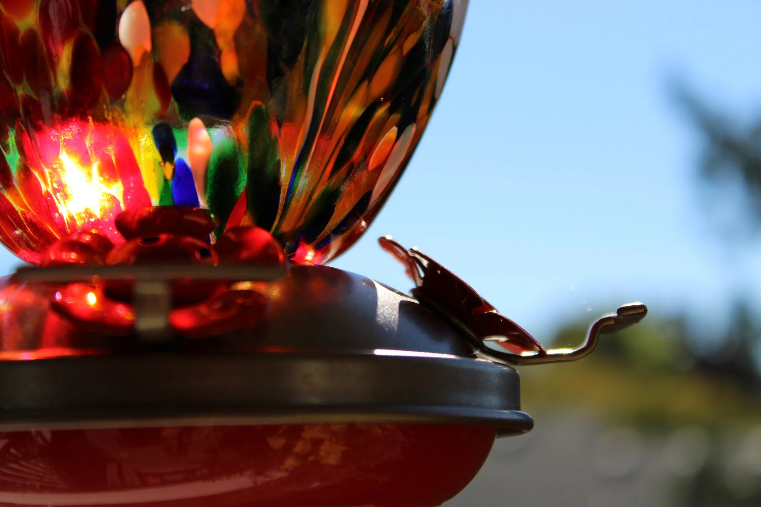 Finding Stability in Alternative Therapies