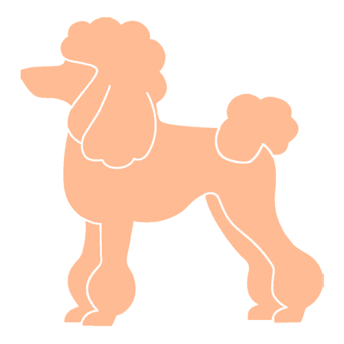 The Peach Poodle