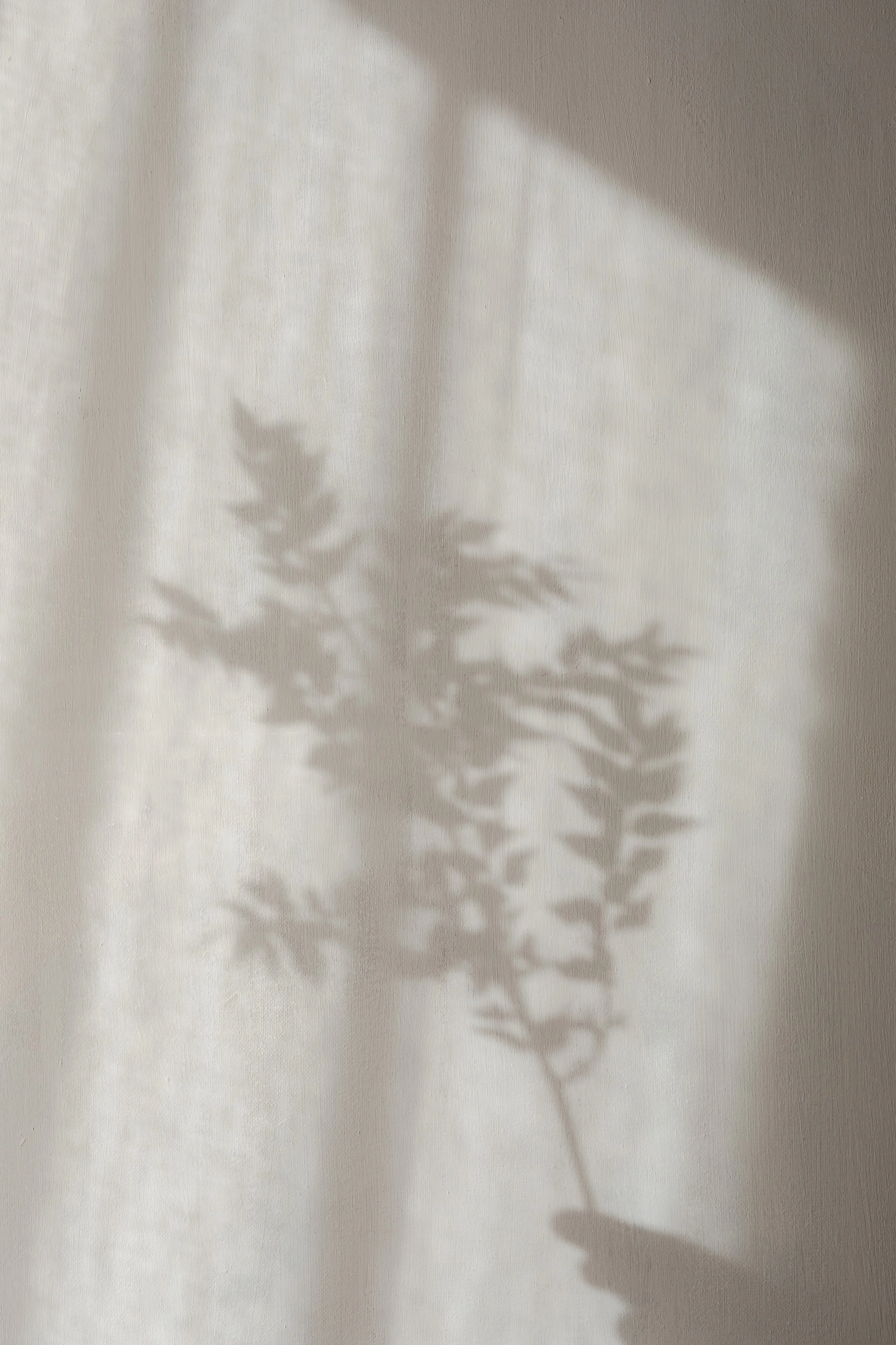 Minimalist shadow play on textured wall - Maka Studio visual inspiration for warm modern brand identity.