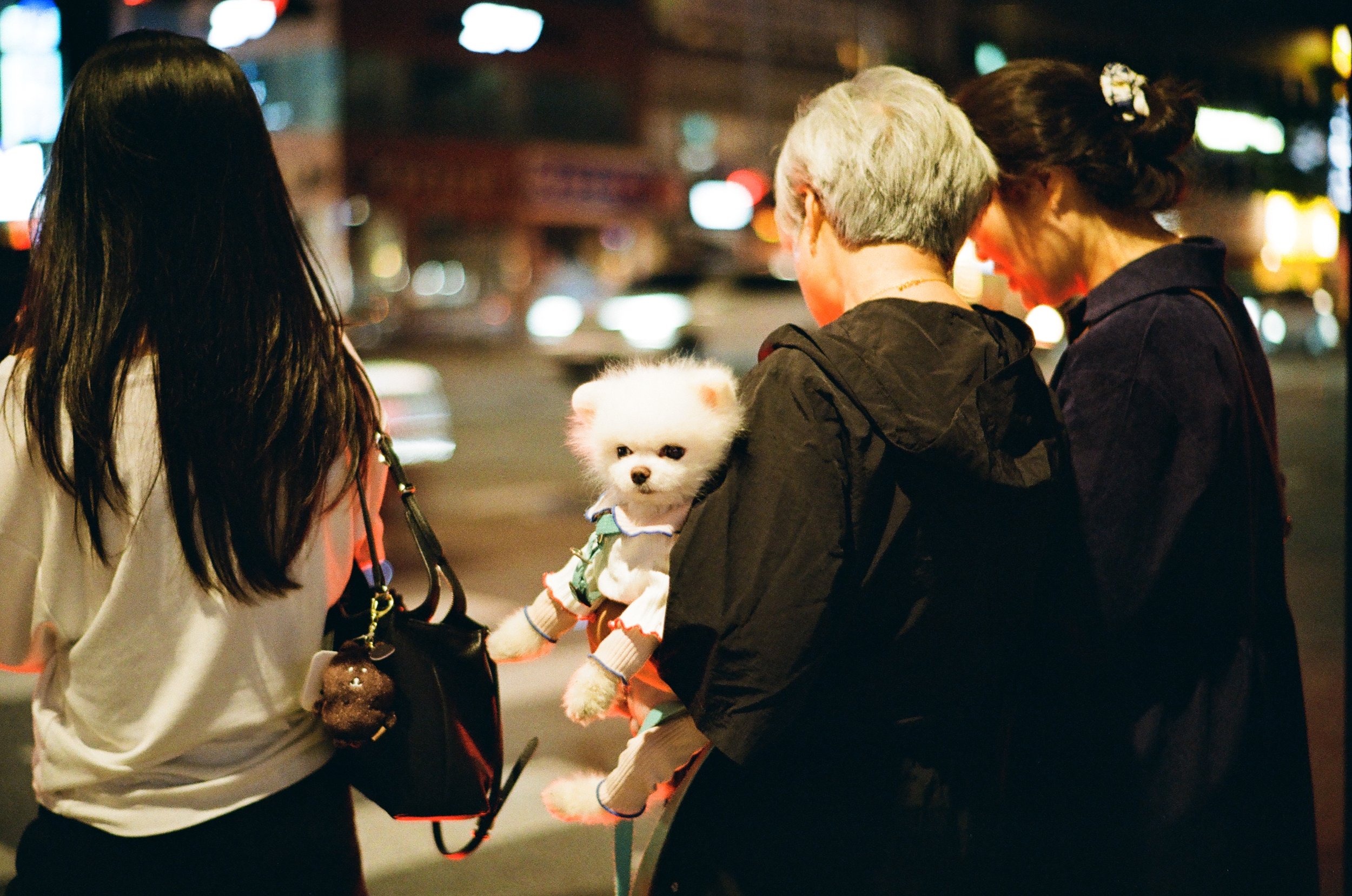 Voigtlander Nokton 50mm f1.5 II sample film photograph of a dog at night held by a woman while clothed.