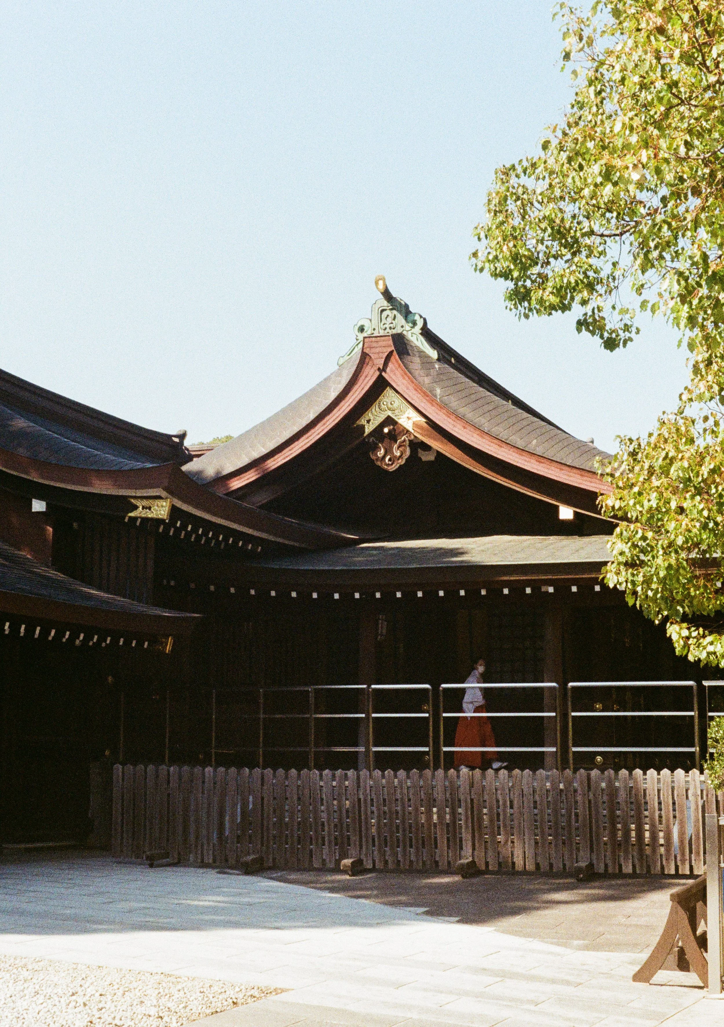 Film photo of a temple in Japan with a Miko walking in the shade of the building
