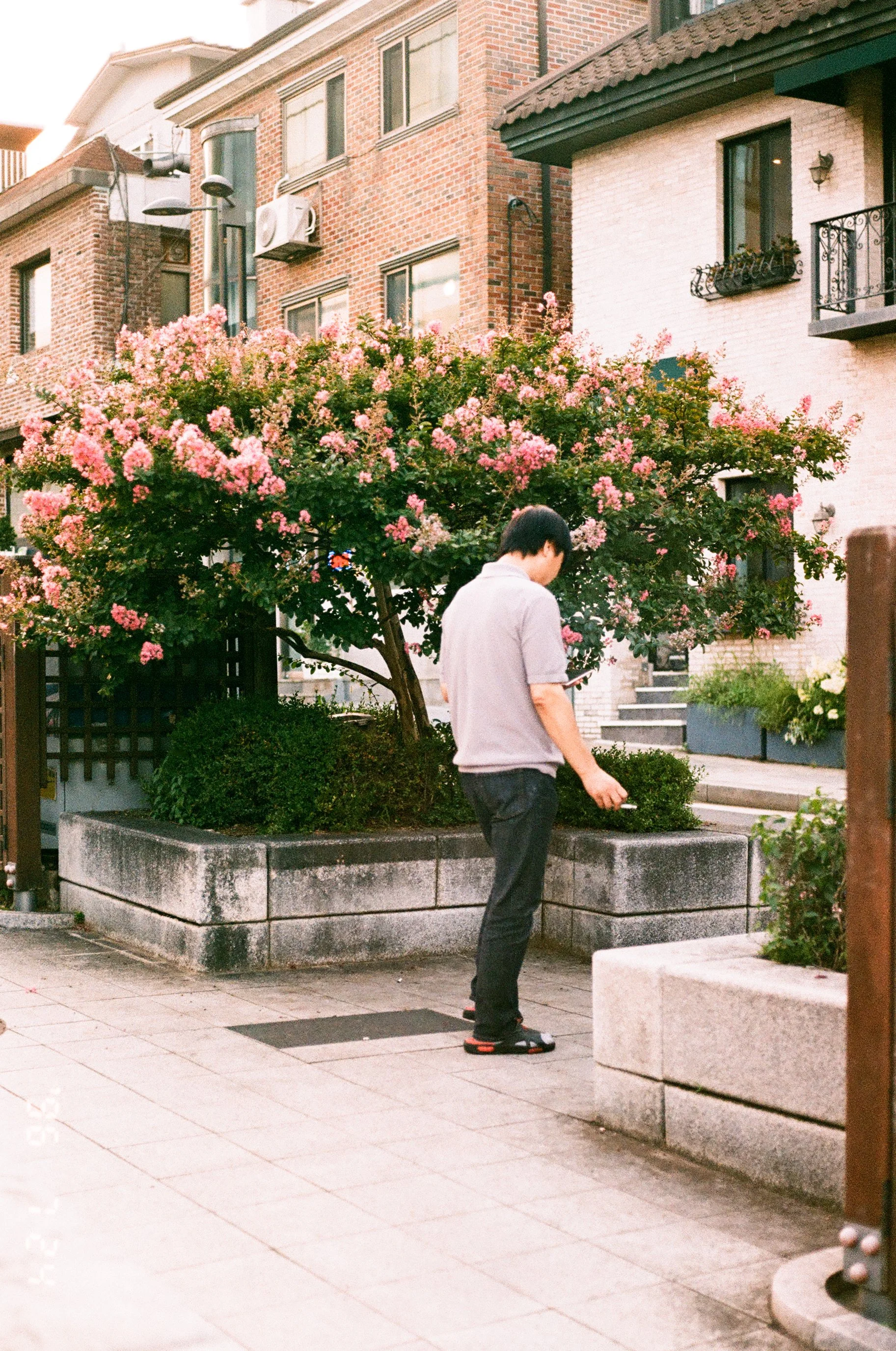 Film photo of a man smoking next to a flower bush while smoking a cigerette