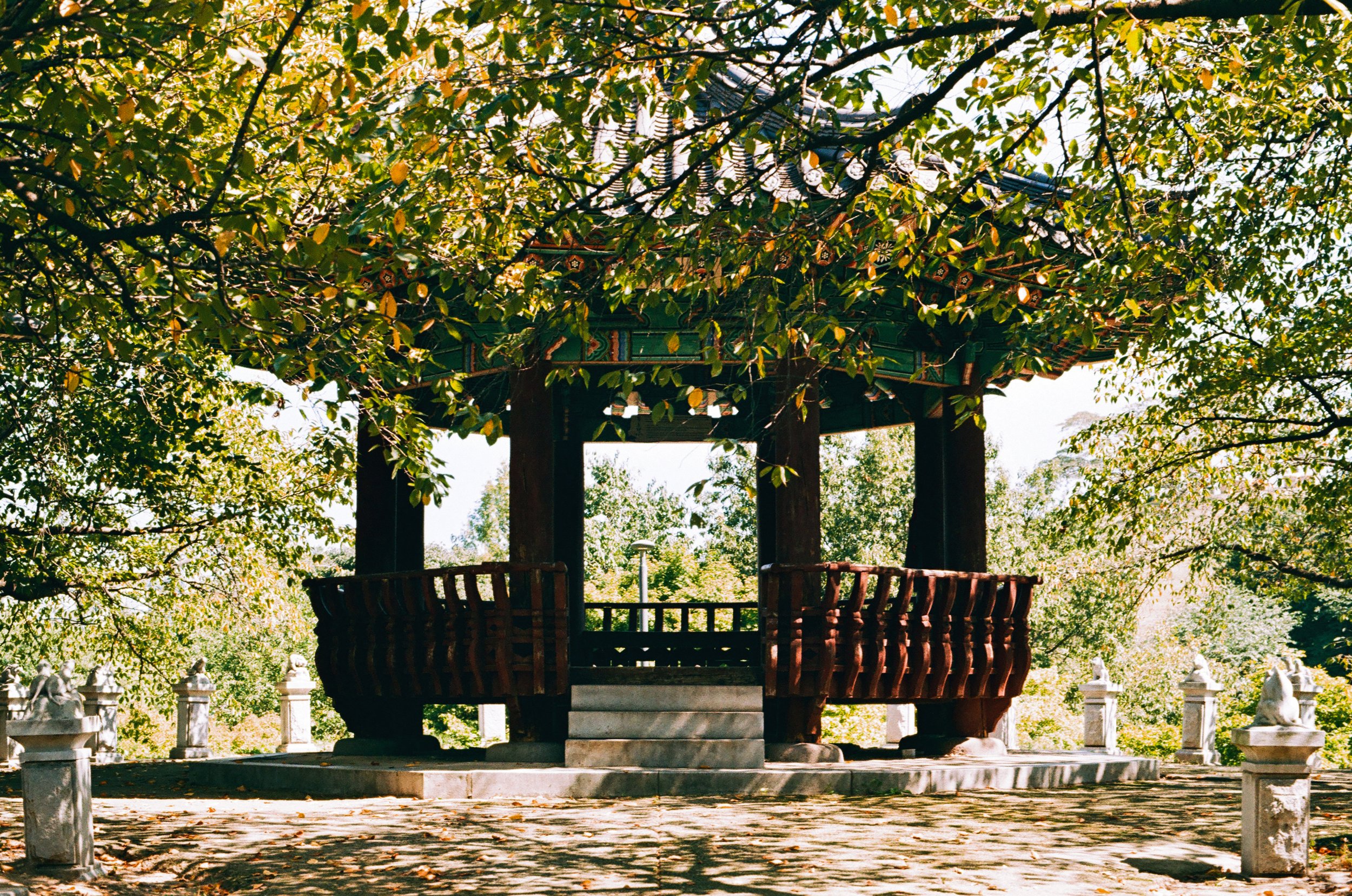 Film photo within Seoul Olympic Park