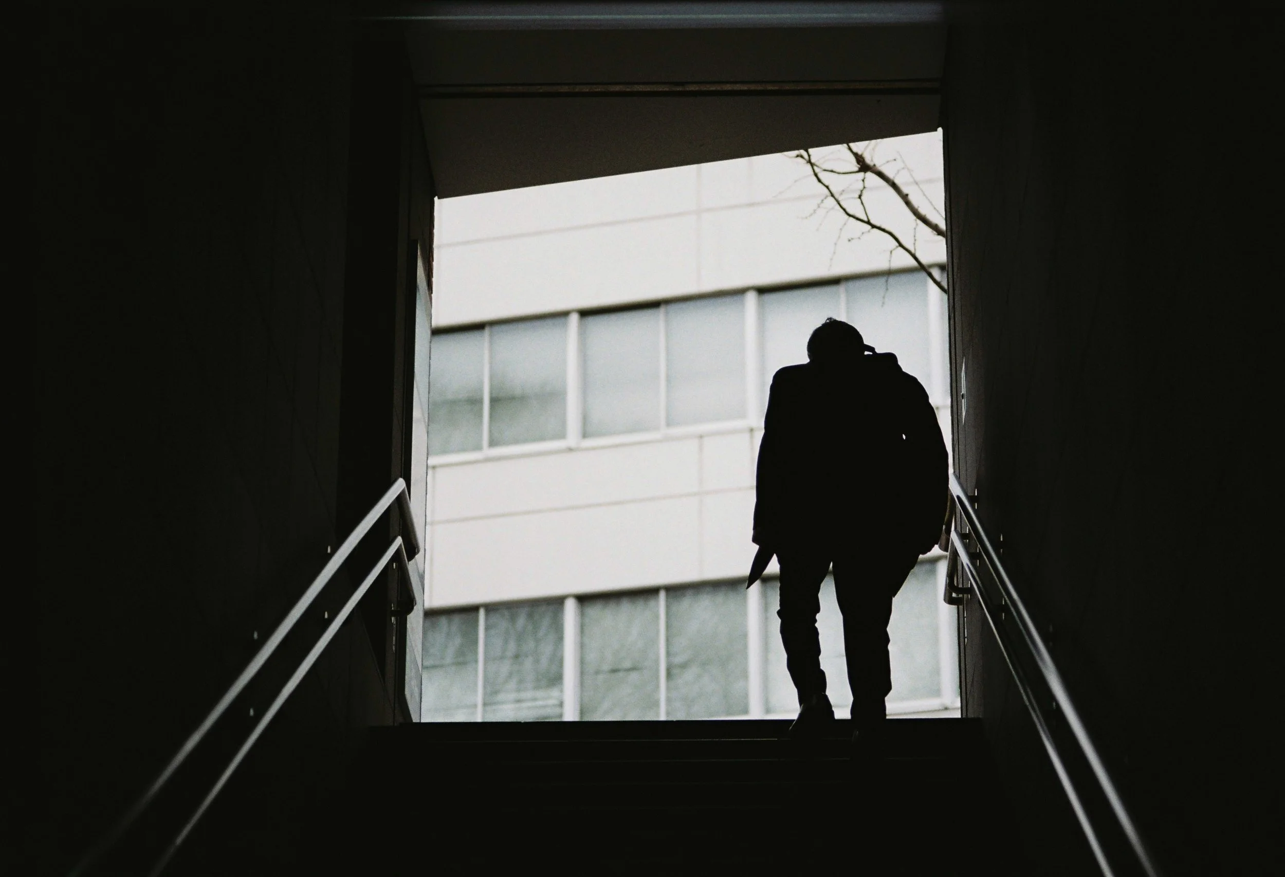 Silhouette of a person descending stairs in a dark building, backlit by natural light from an opening showing a modern building with windows and a leafless tree branch outside.